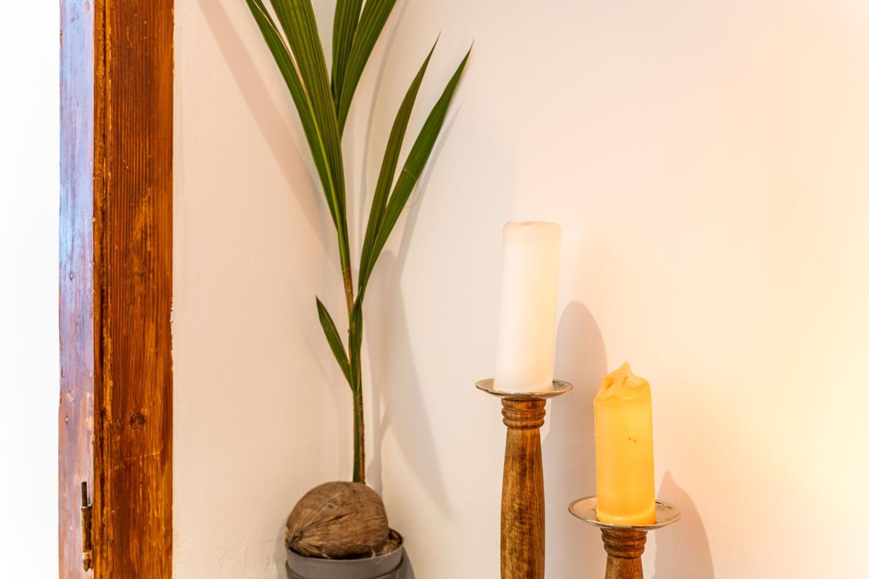 Stone oasis Vito