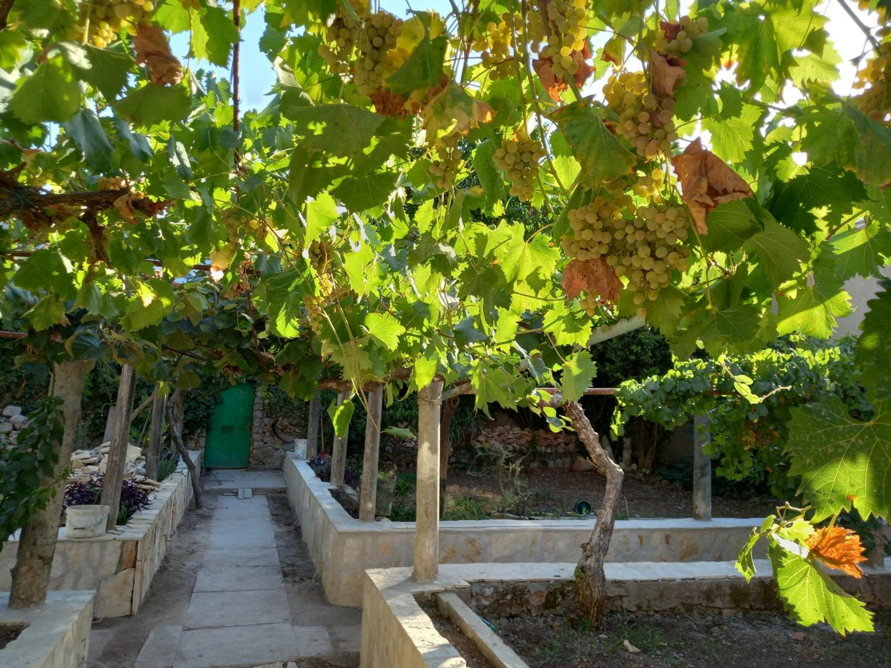 Stone oasis Vito