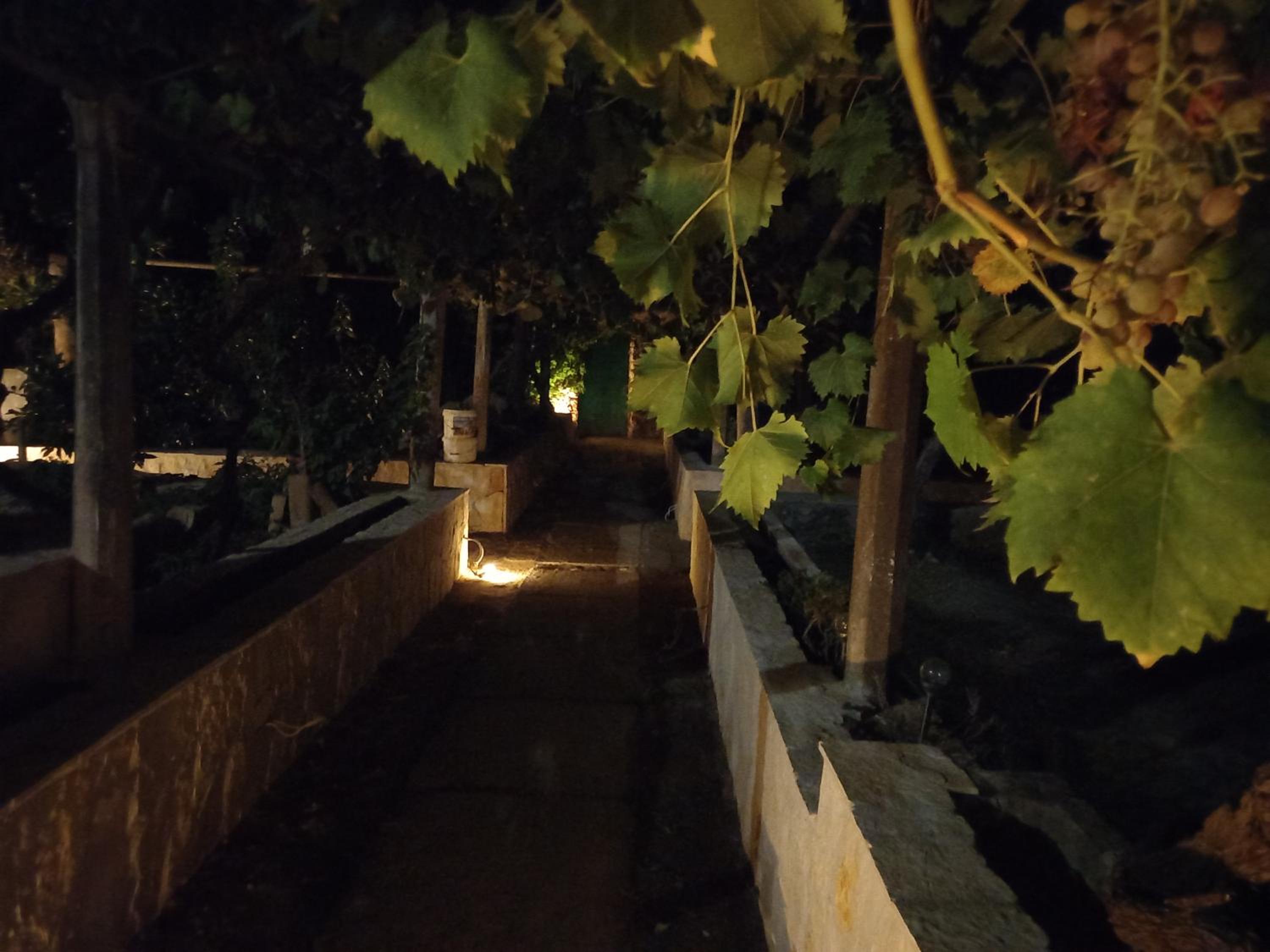 Stone oasis Vito
