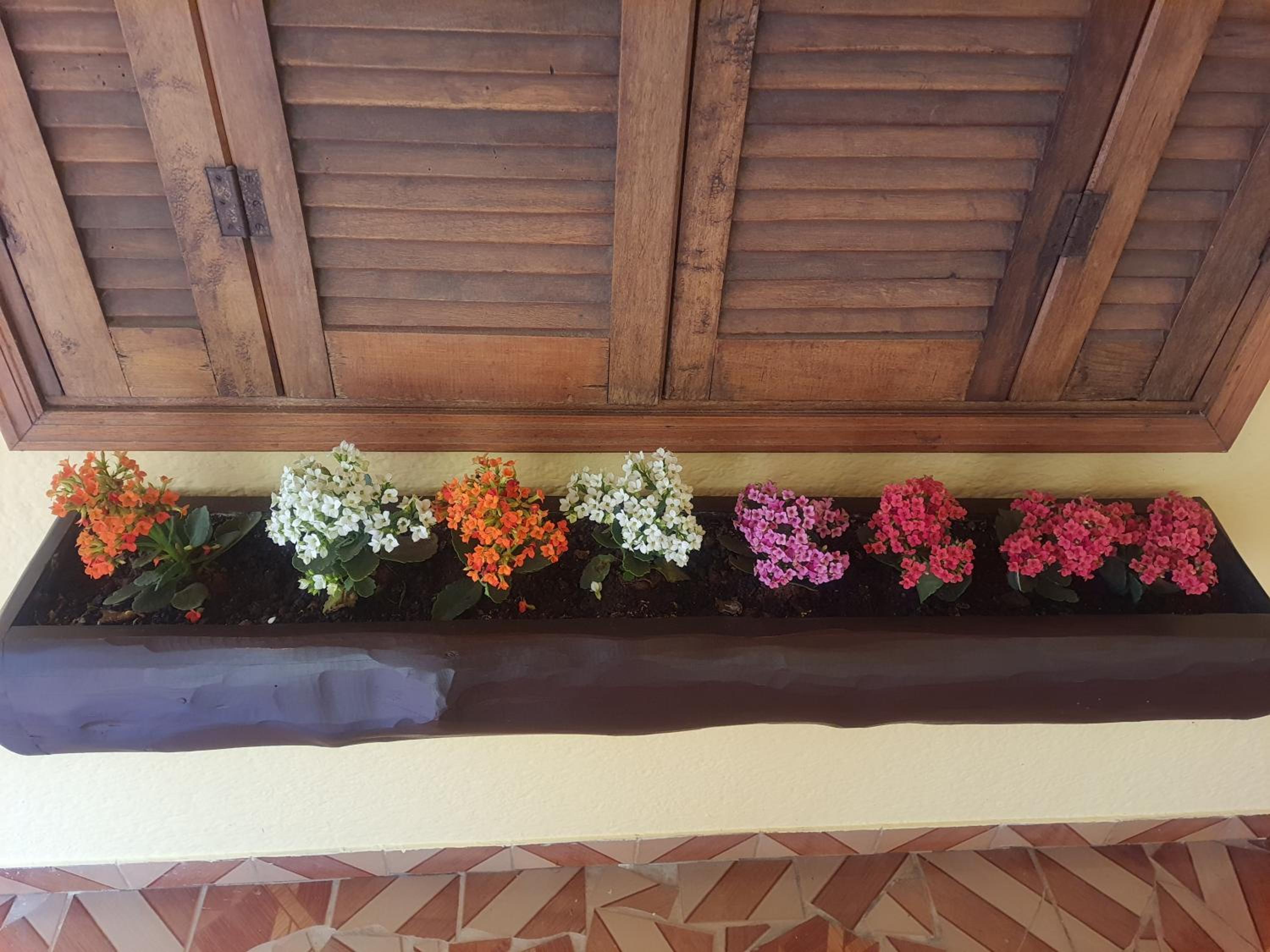 Chalé Juliana