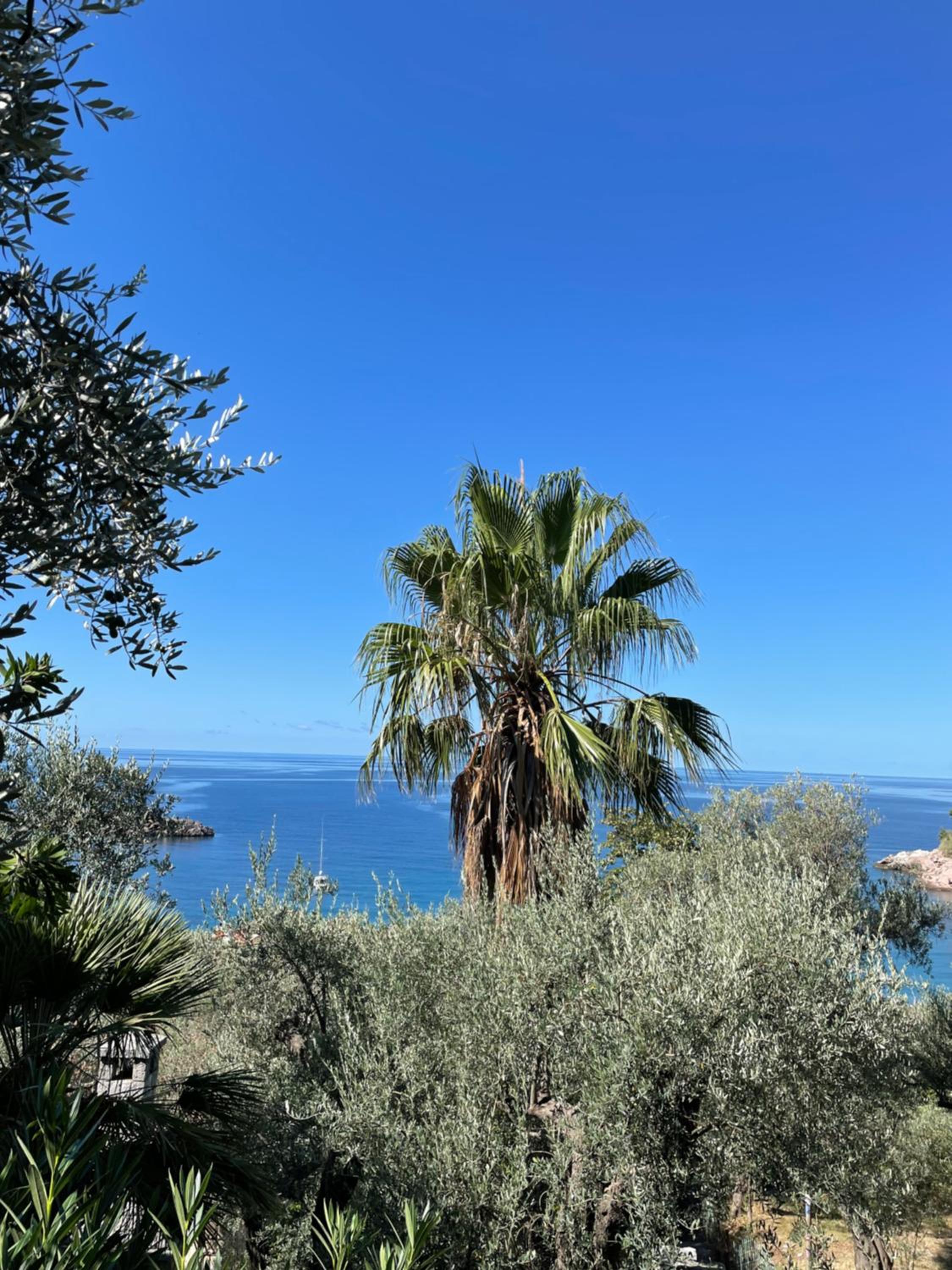 SEA VIEW APARTMENT photo 4