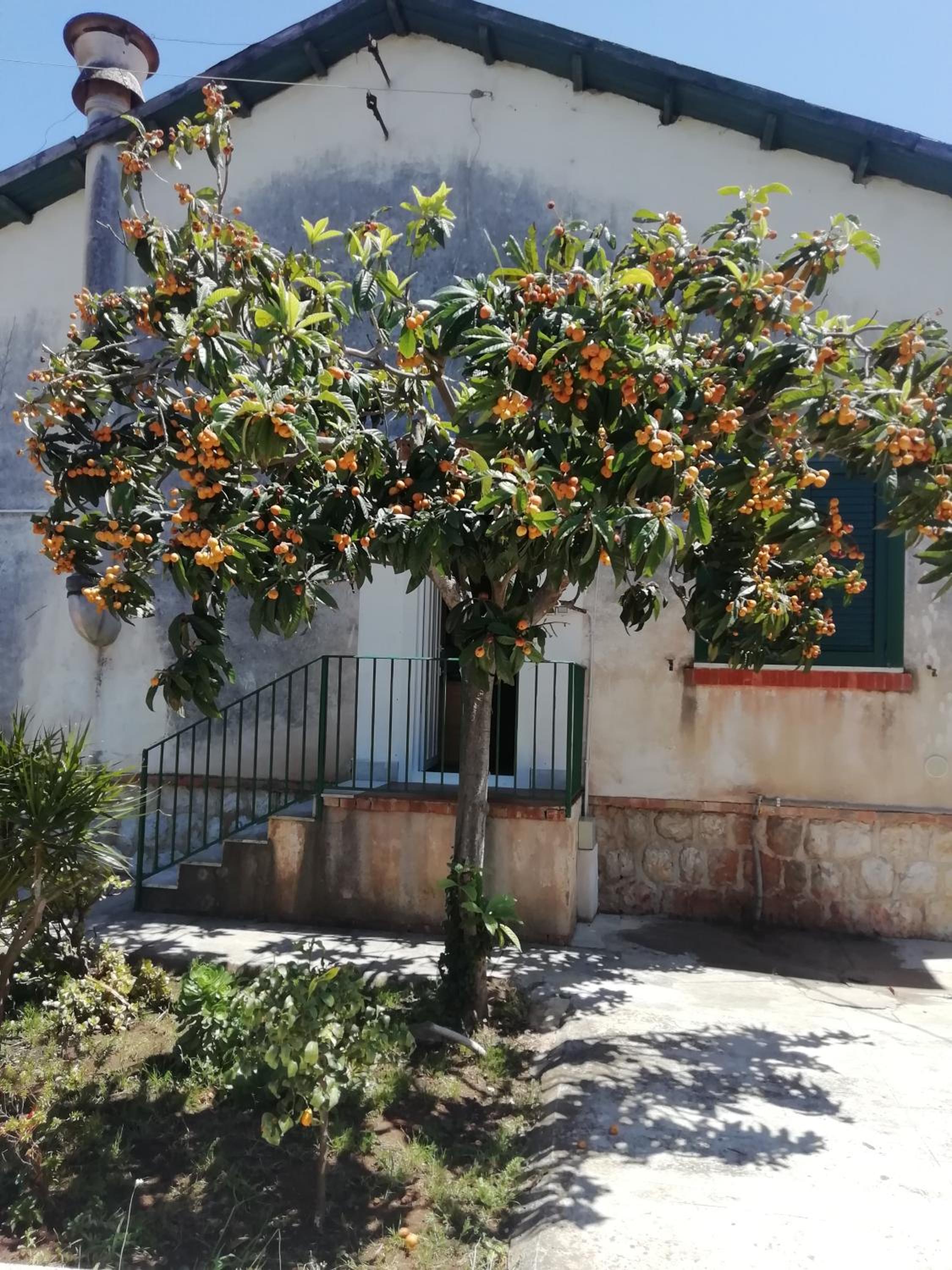 Villa Serrano view 4