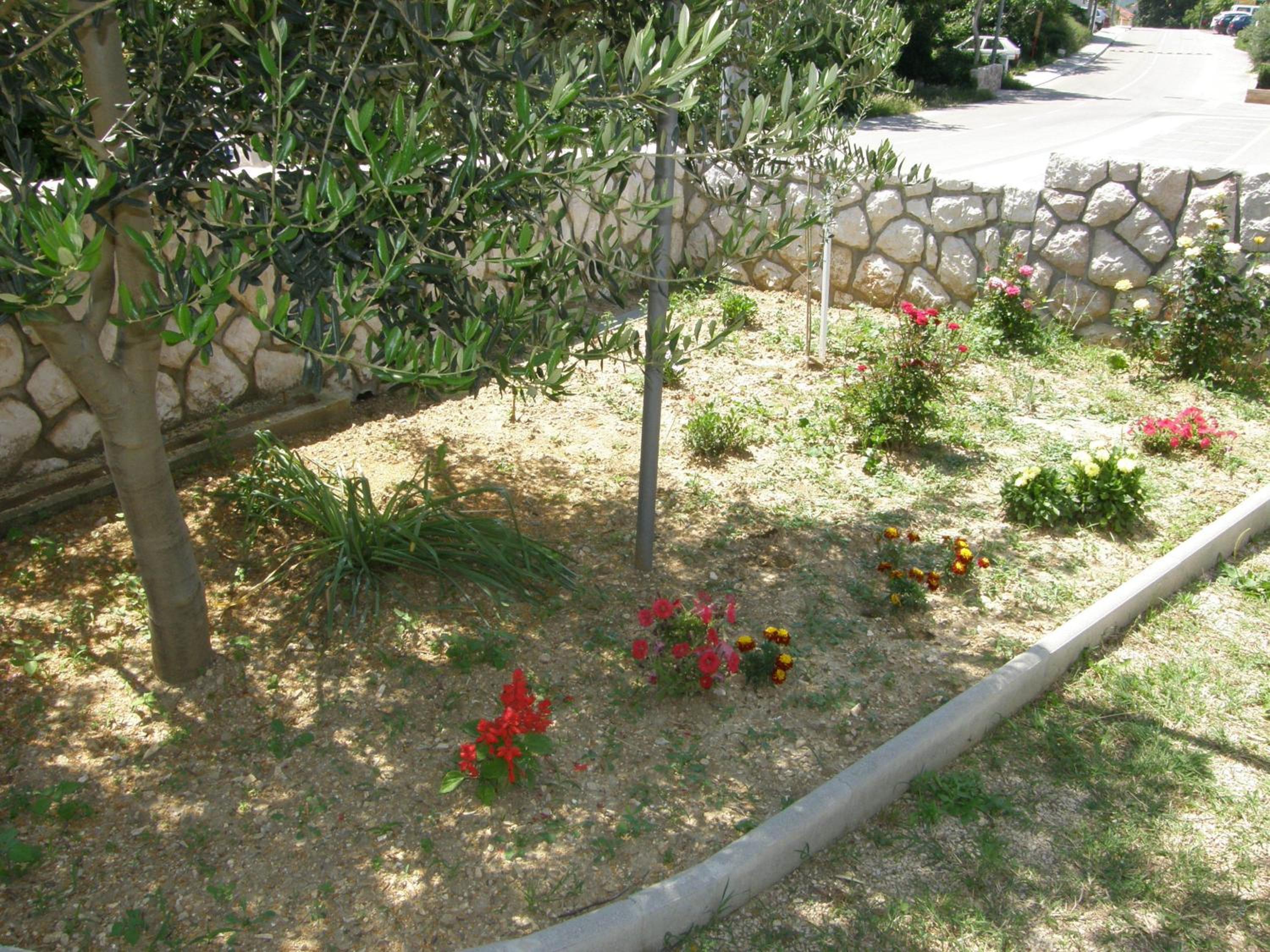 Photo 49