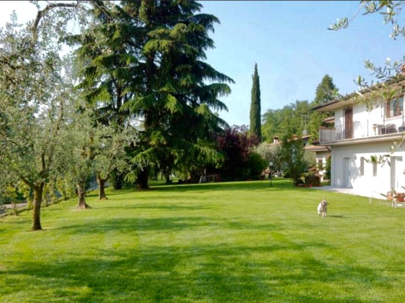 B&B Controvento Soiano view 4