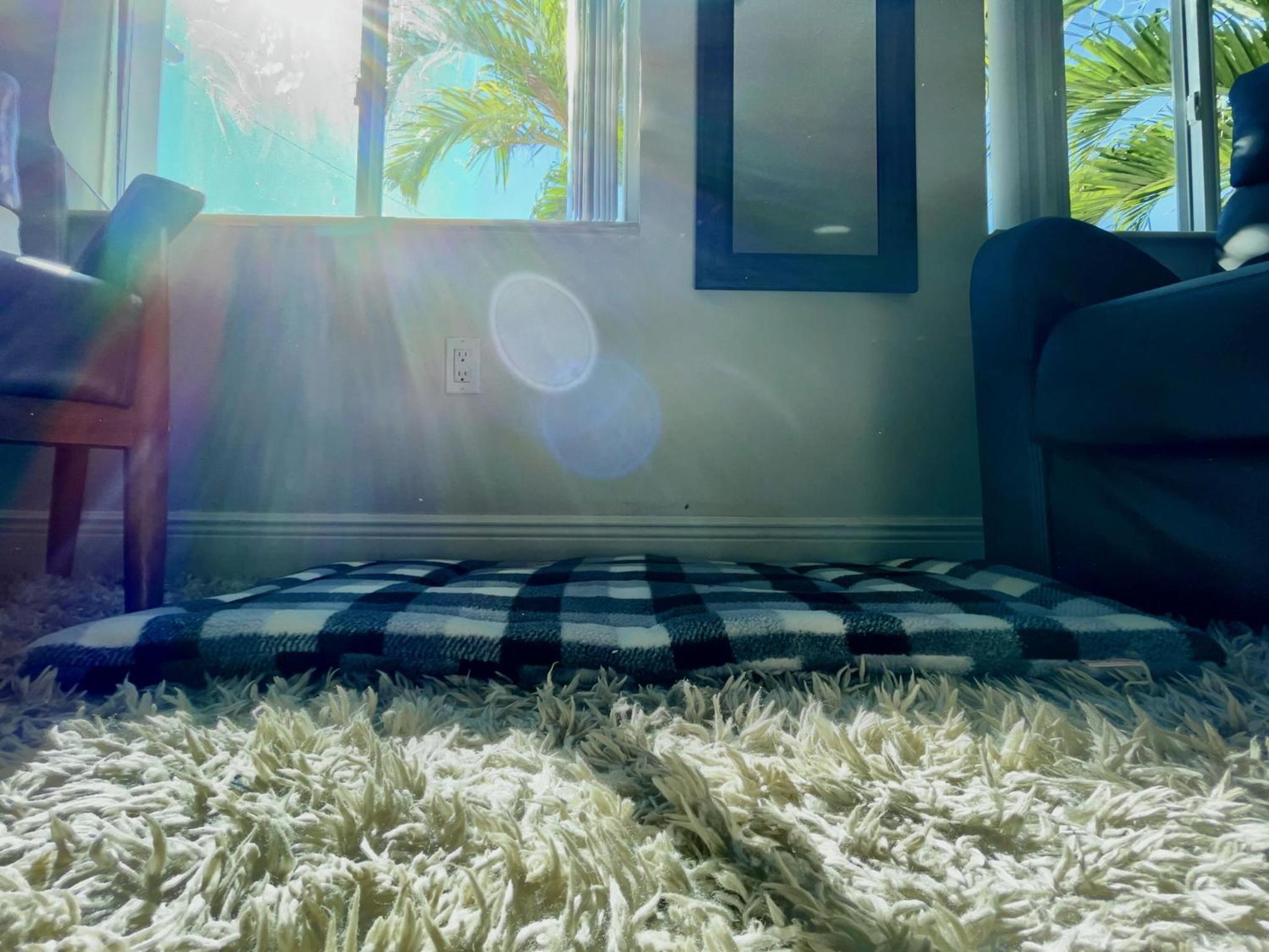 Marlins Park Suites - Apartment 1 - Calle Ocho Suite