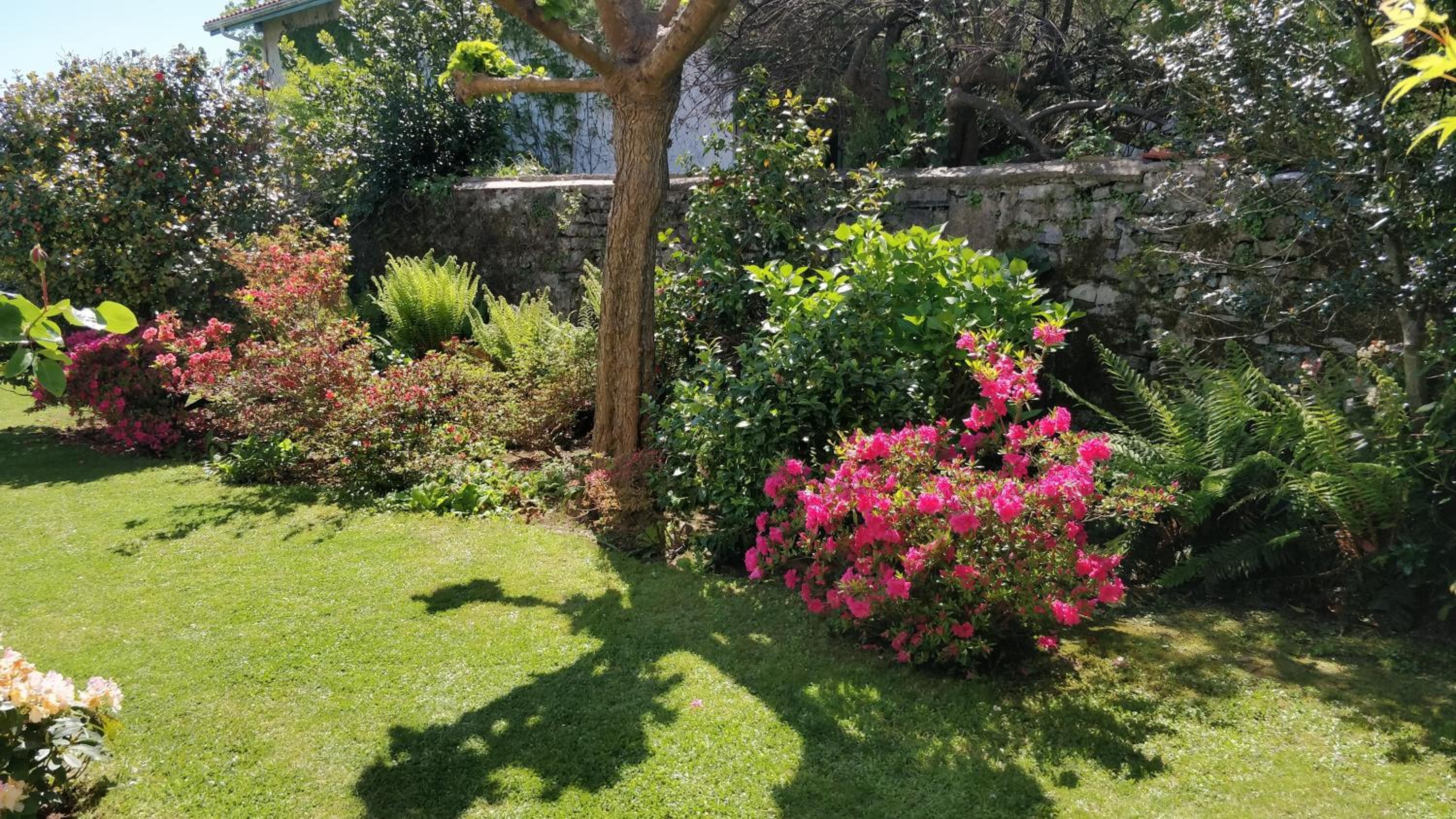 Anglet Vacations - T1 ou T2 dans villa avec jardin proche Biarritz - Property Image 1