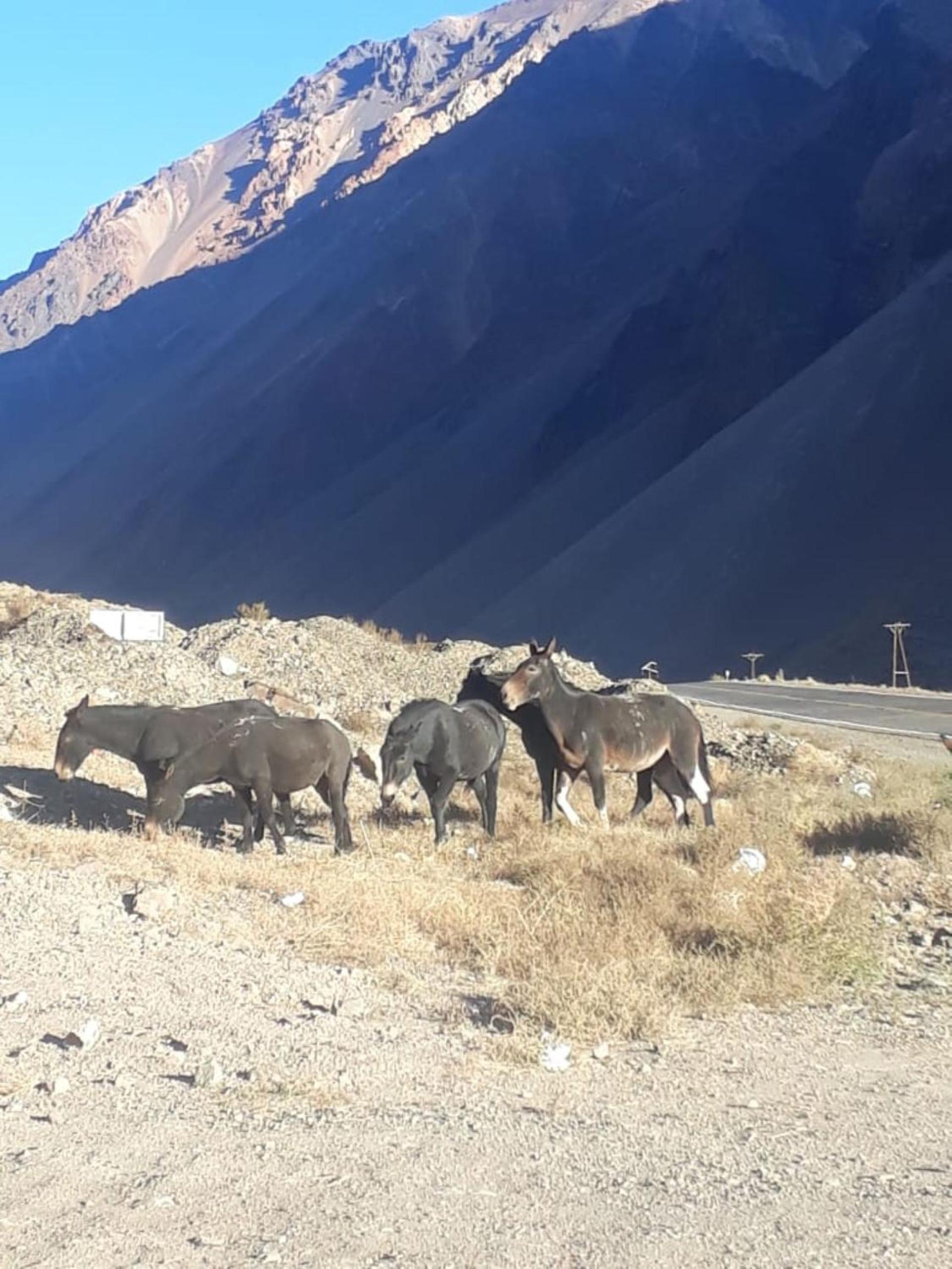 Altas Cumbres Penitentes