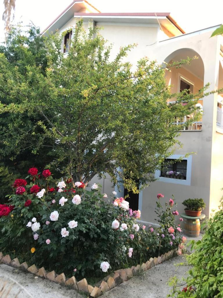 B&B La casa di g.g. view 4
