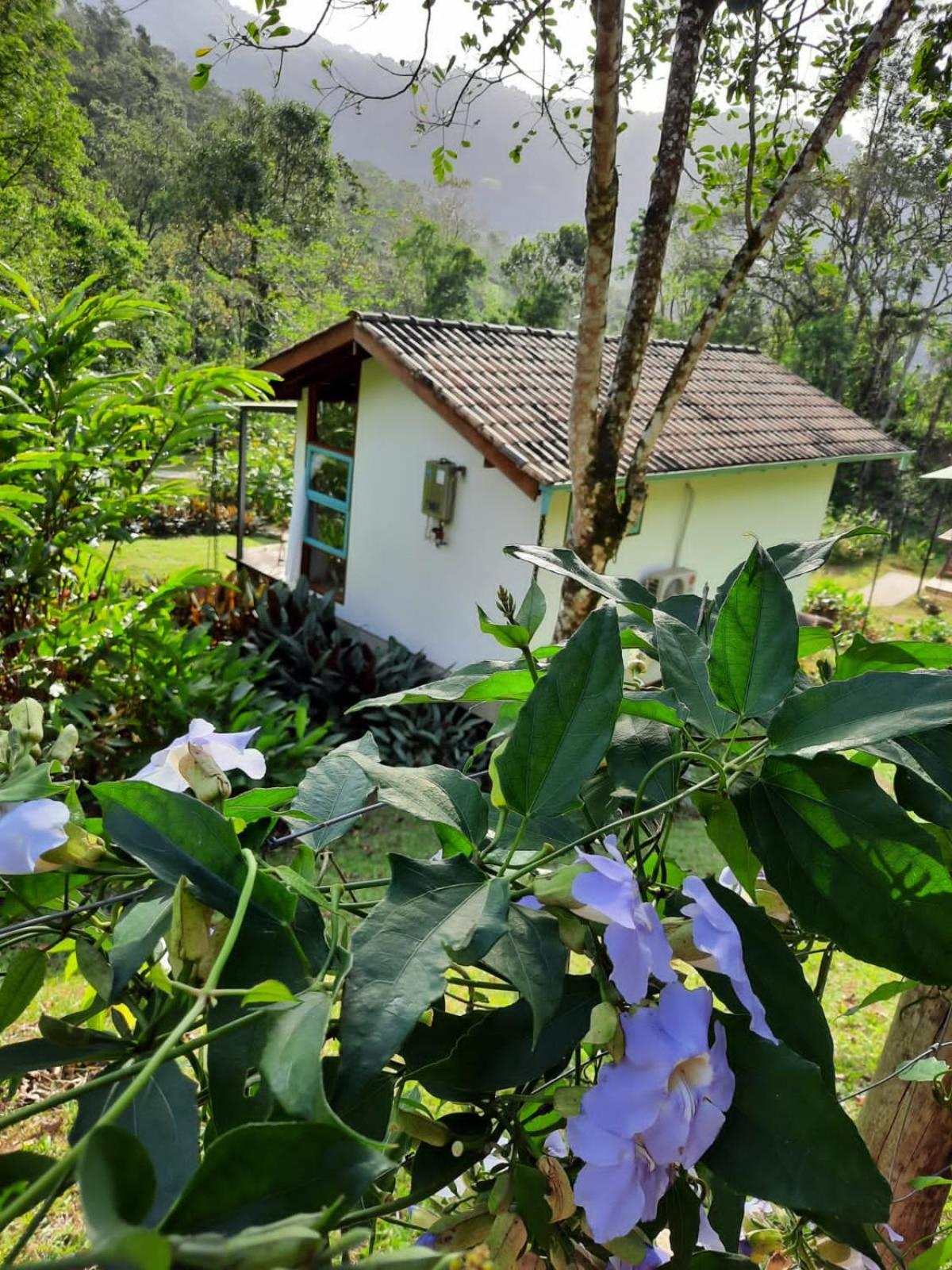 Paiol Eco Suites