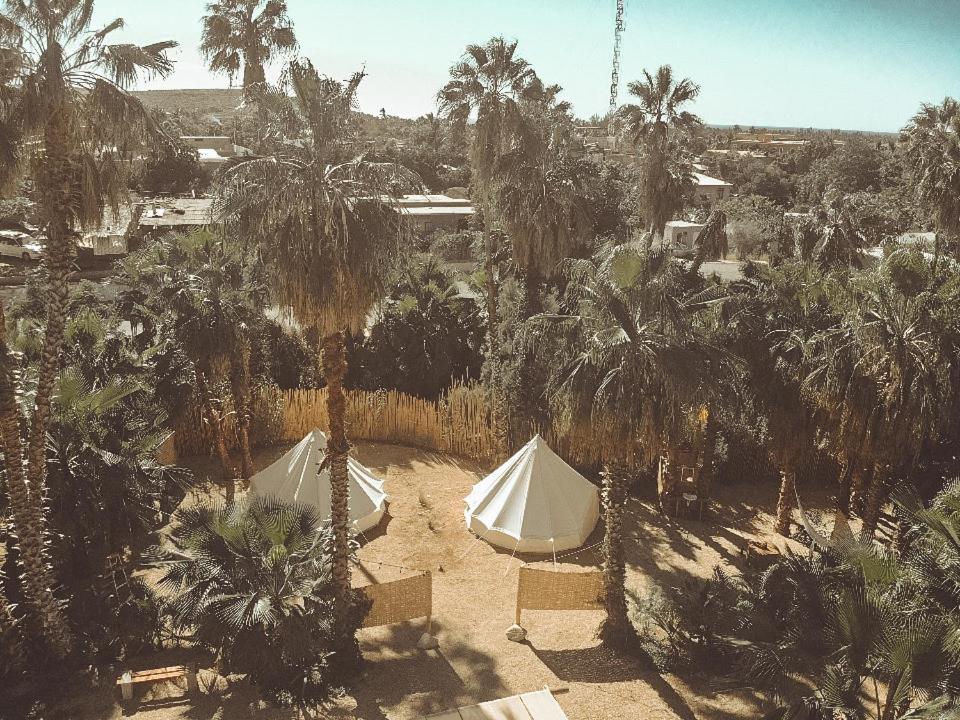 Cien Palmas Tent 1