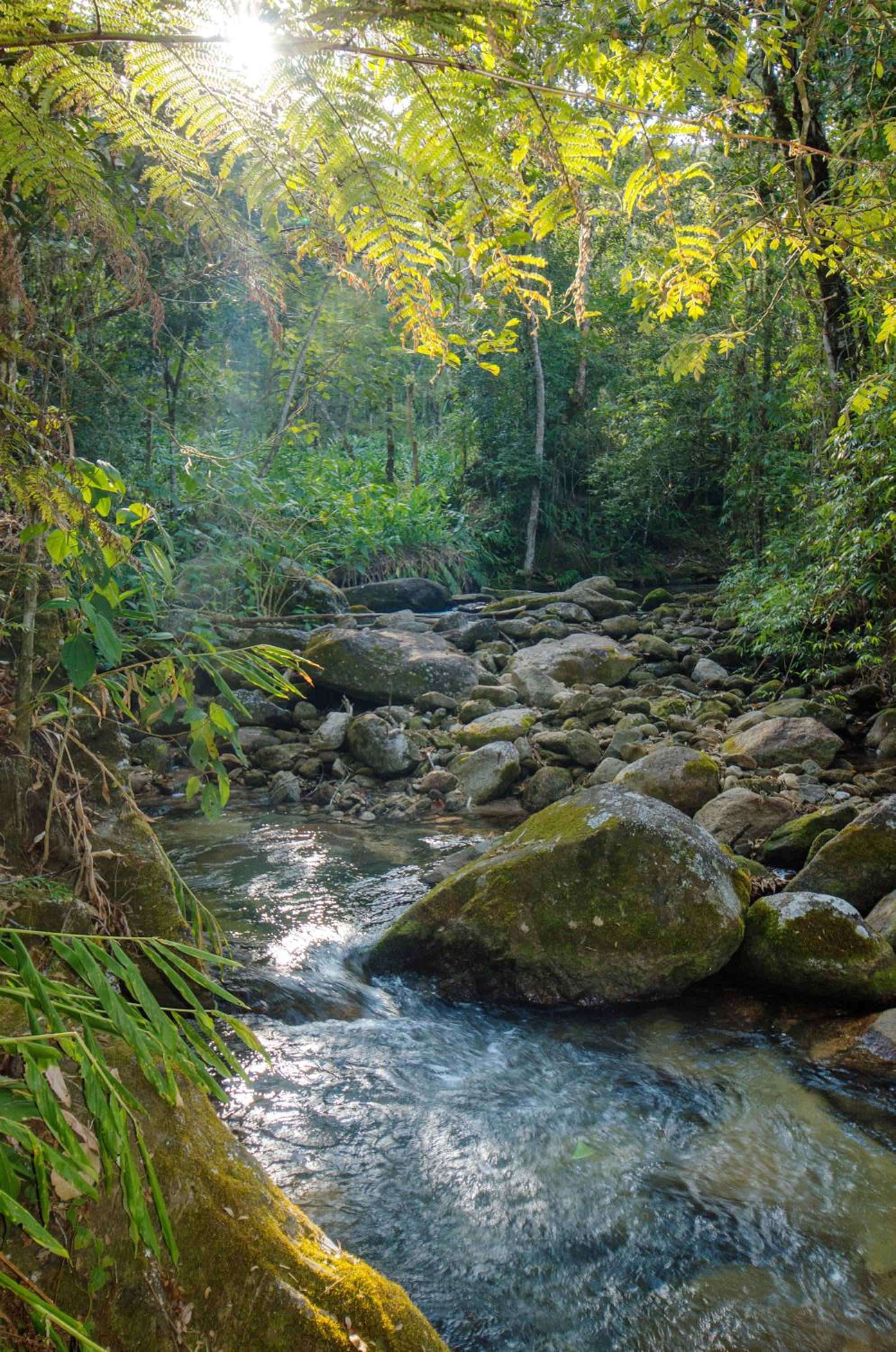 Chalé Pasárgada - Um pedacinho do paraíso na serra