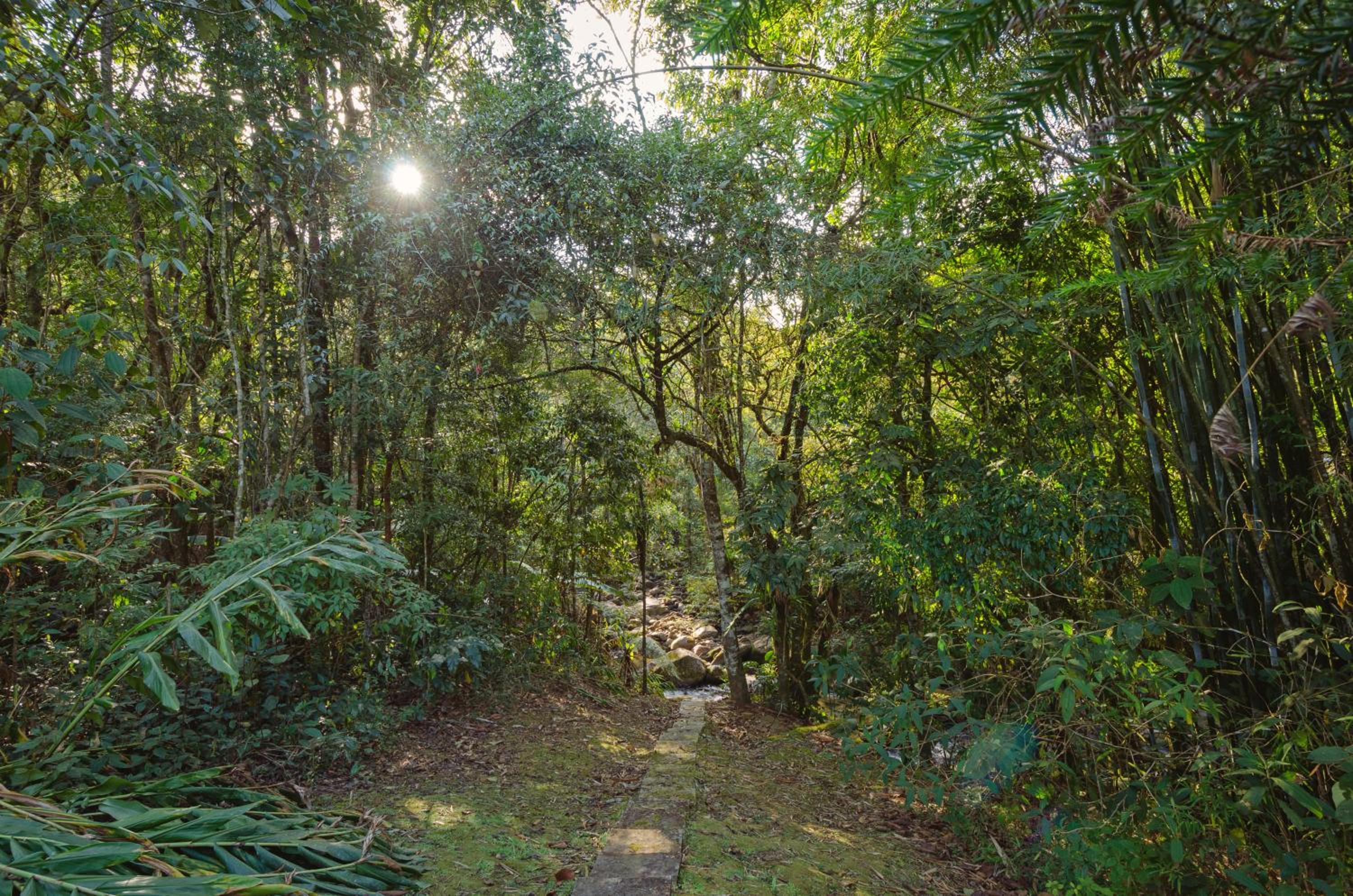 Chalé Pasárgada - Um pedacinho do paraíso na serra view 3
