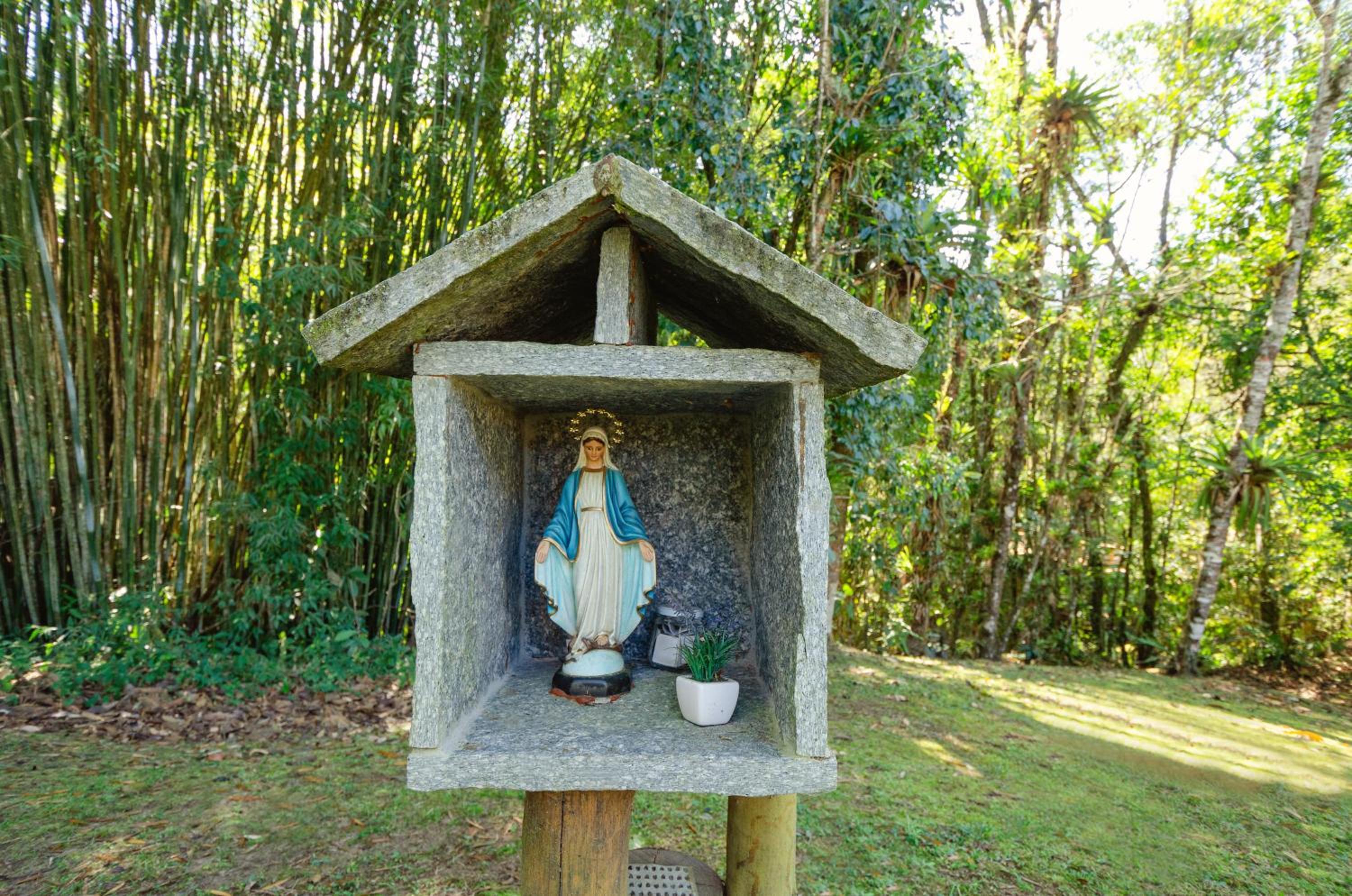 Photo 25