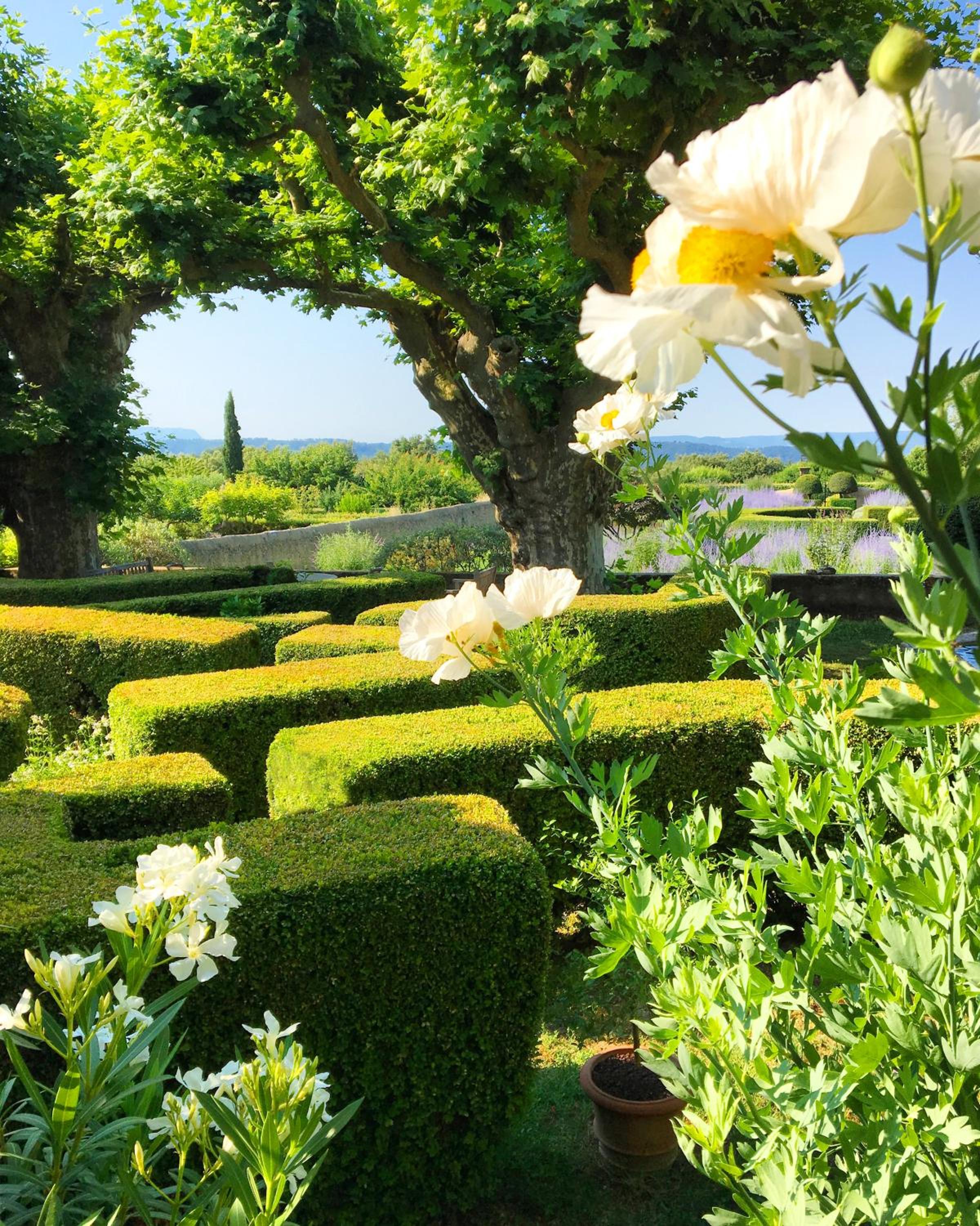 Le Pavillon de Galon en Cucuron