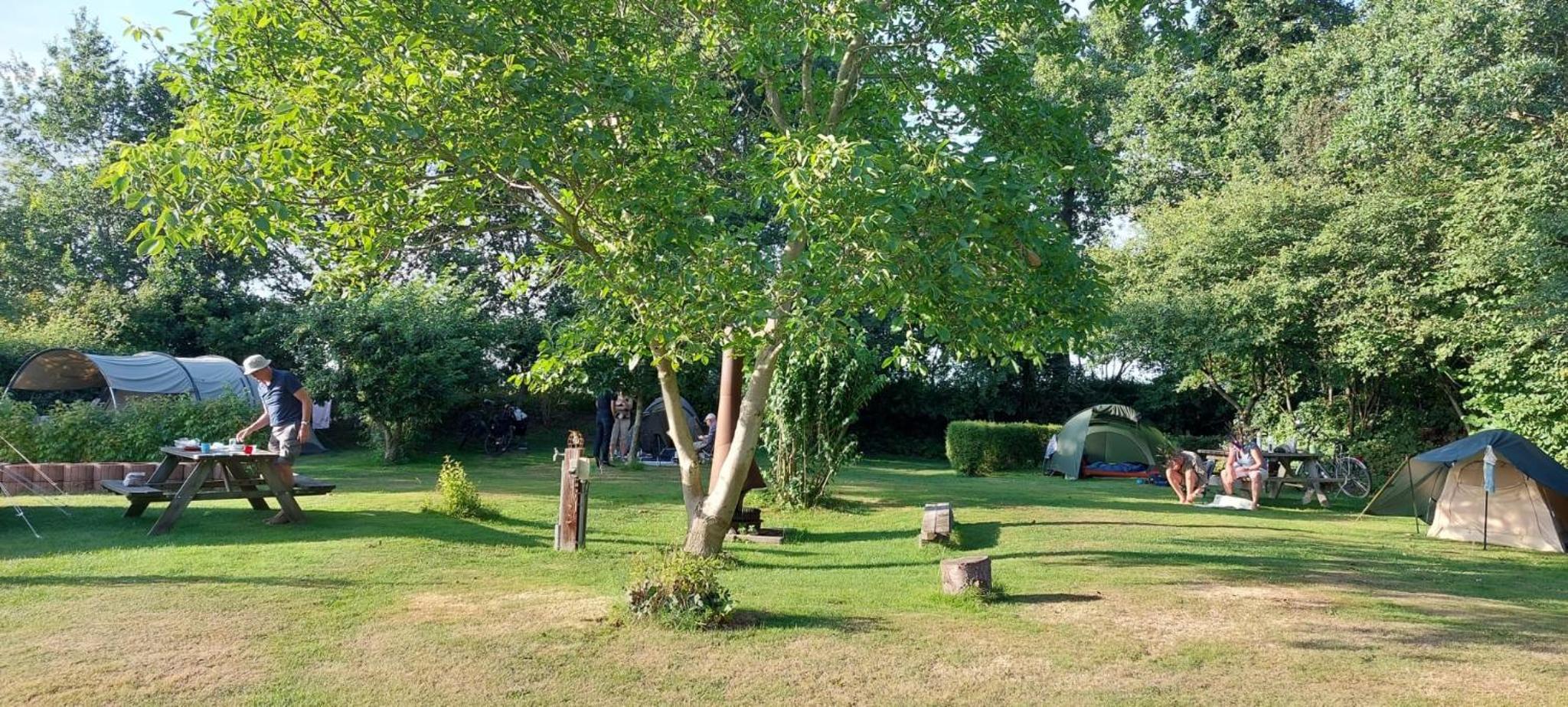 Photo 22