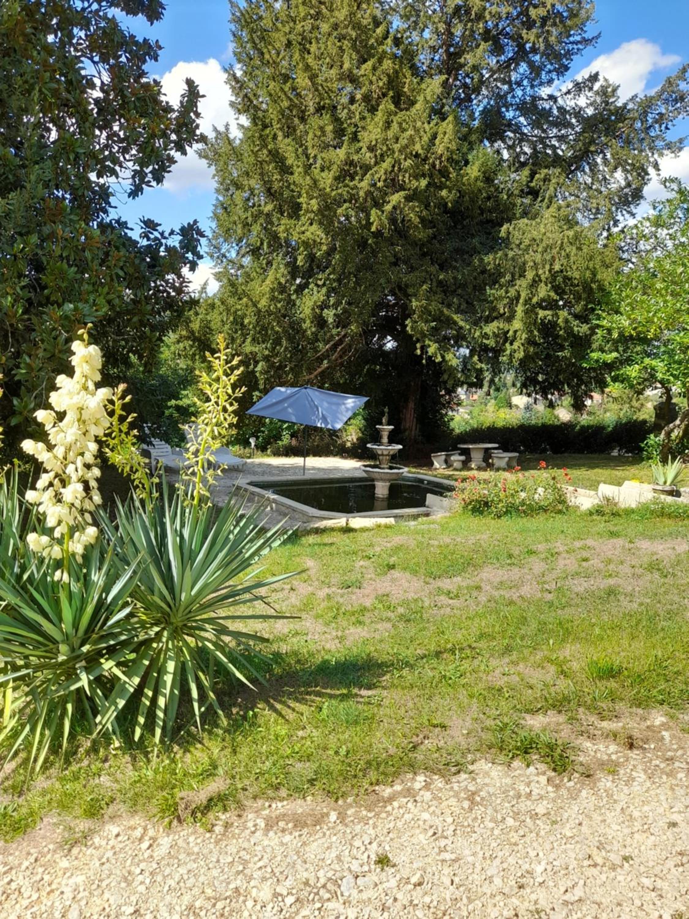 Photo 38