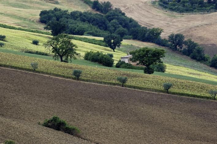 Agriturismo Il Gelso Antico