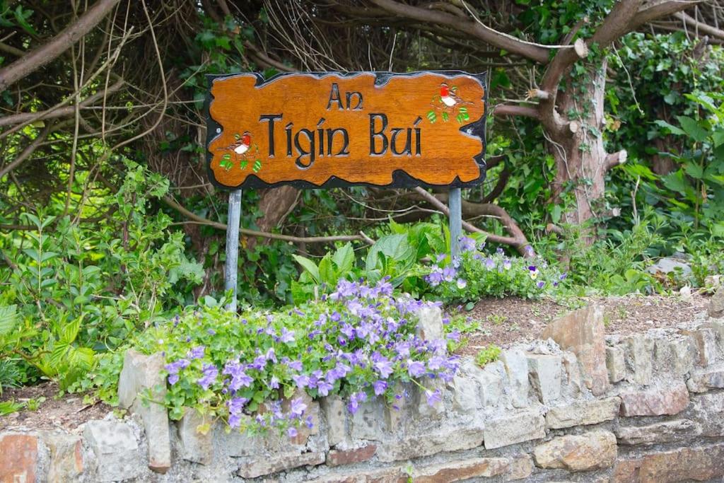An Tigín Buí view 2