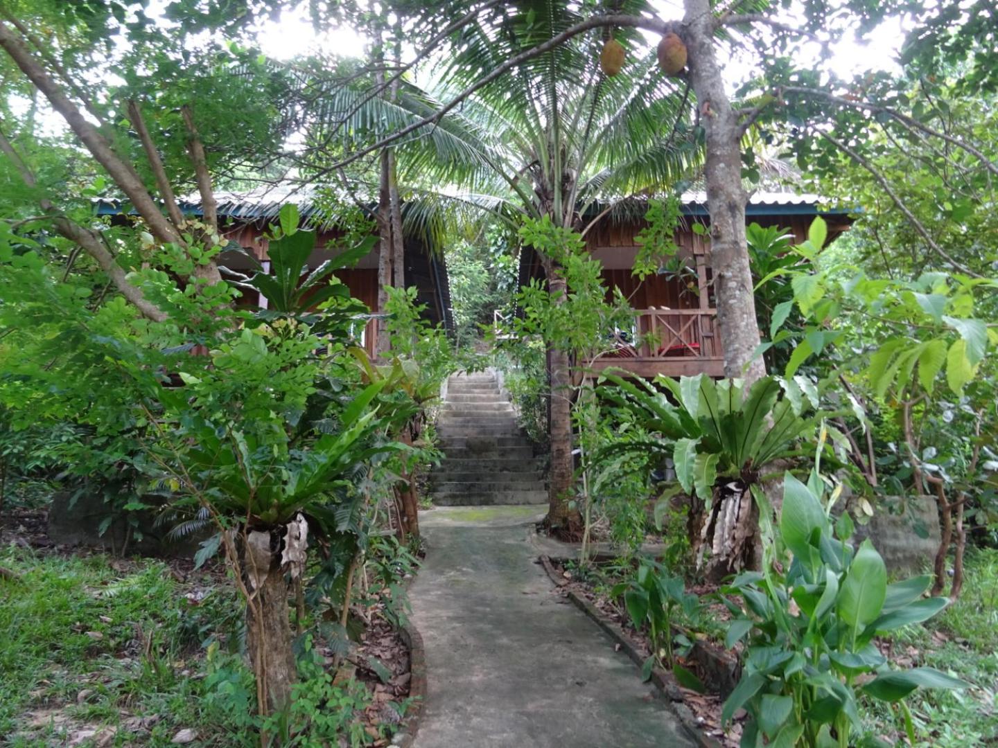 garden