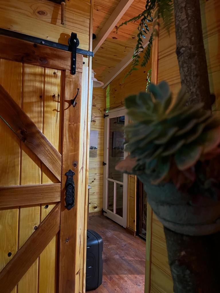 La Casa Del Arbol con pileta privada