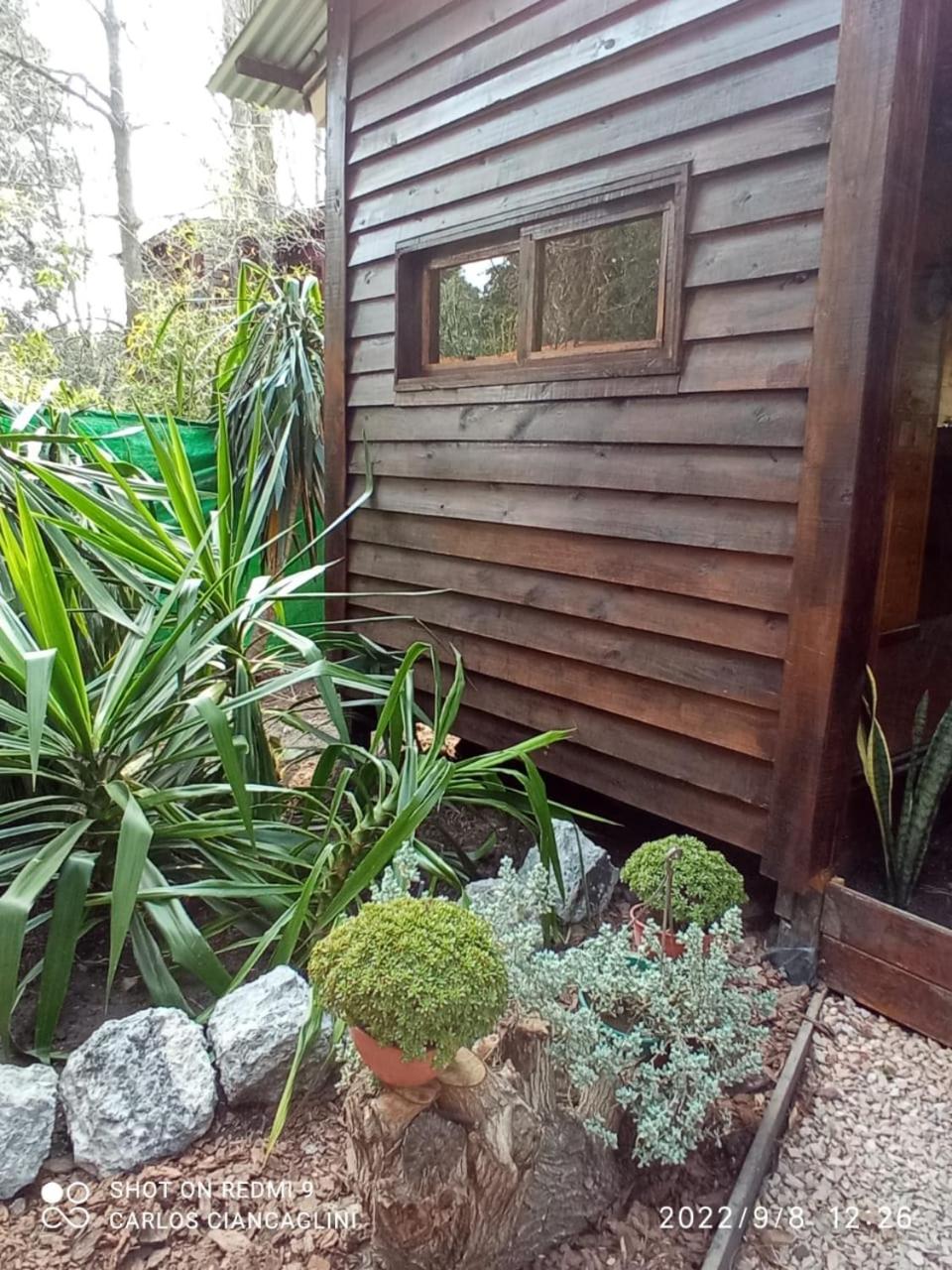 La Casa Del Arbol con pileta privada