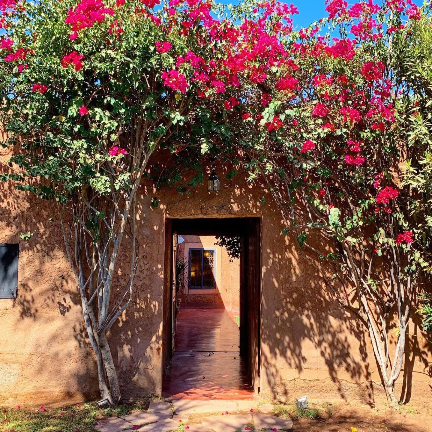 La Ferme Berbere Adult only
