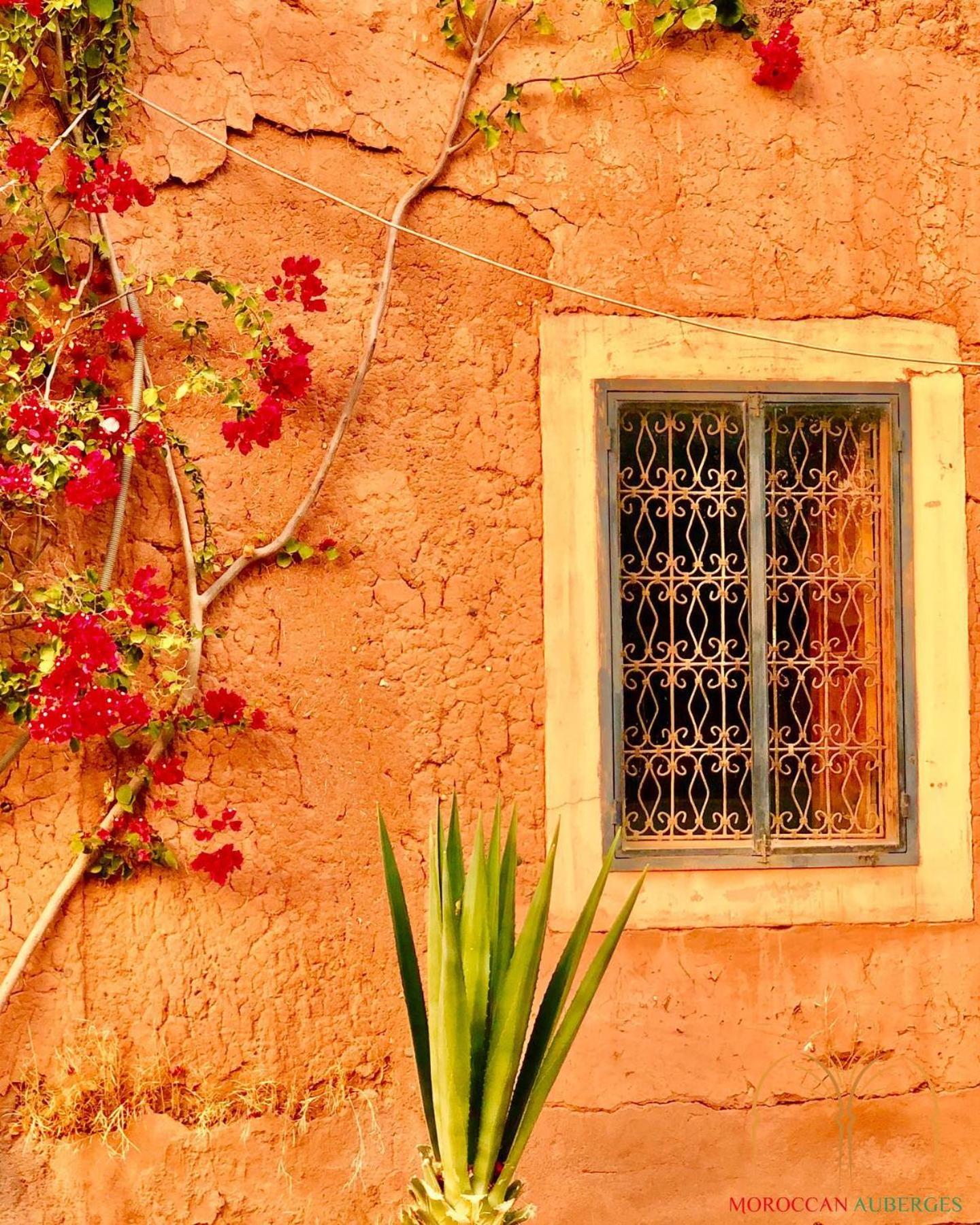 La Ferme Berbere Adult only
