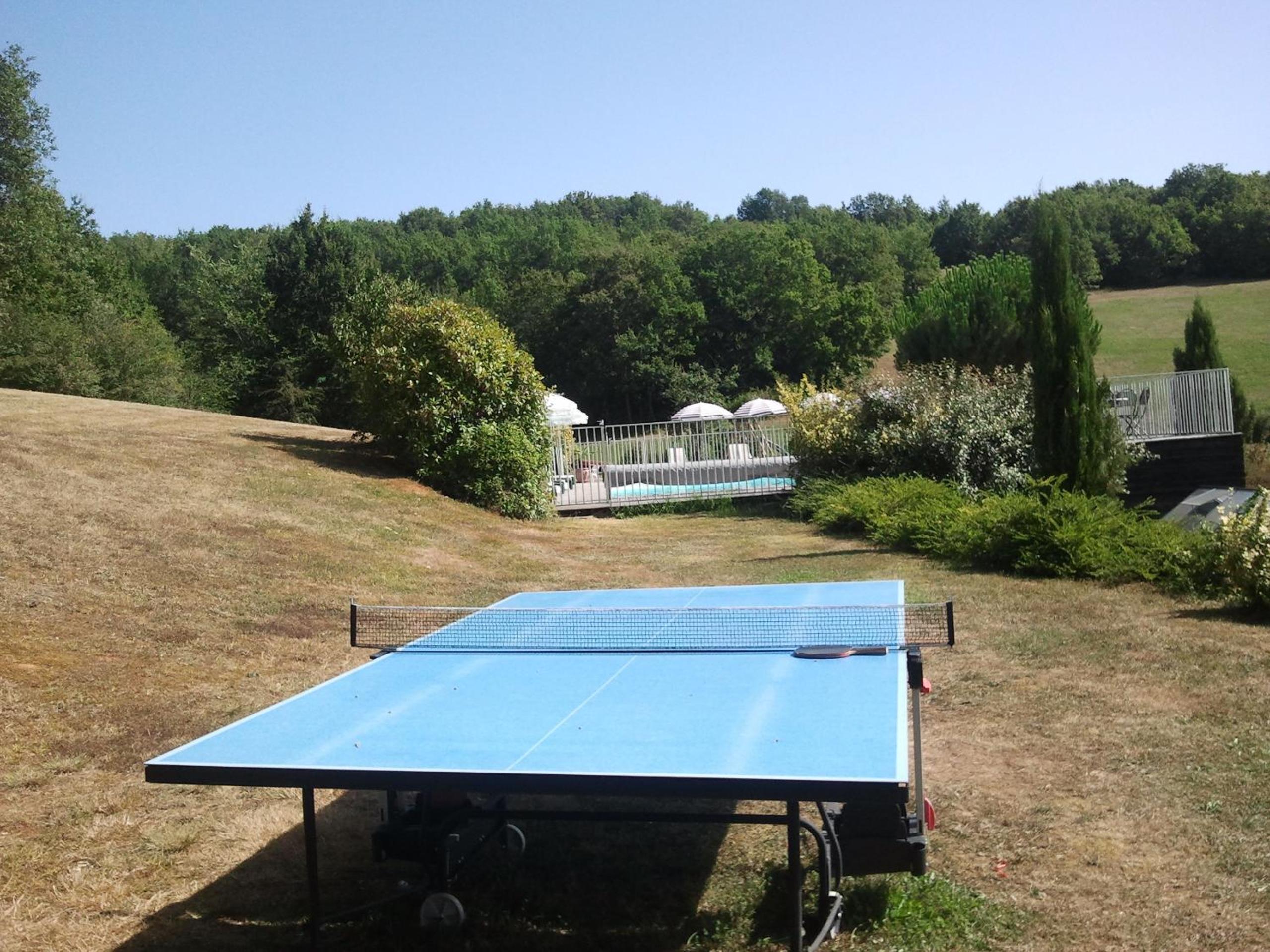 Photo 42
