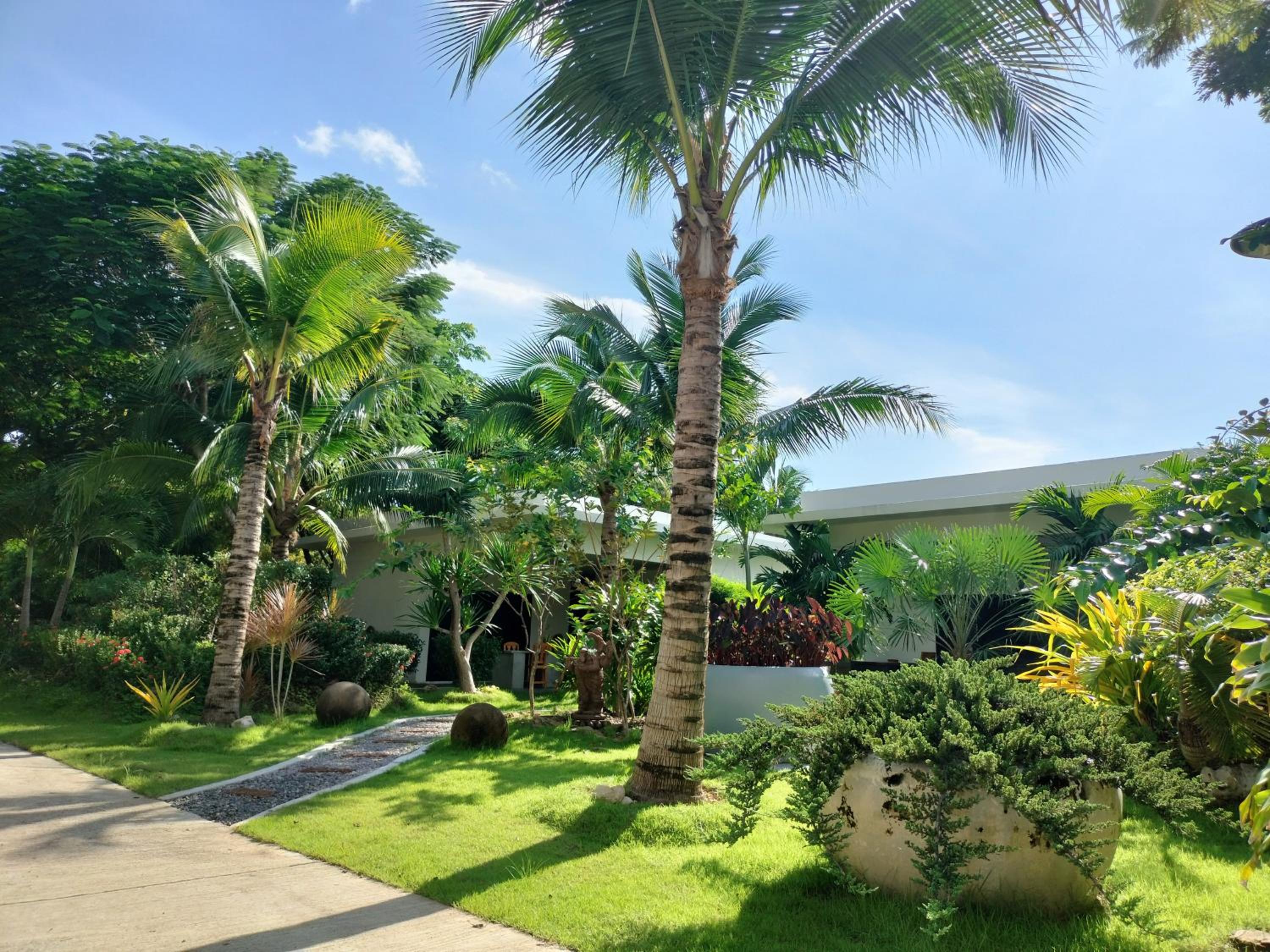 garden
