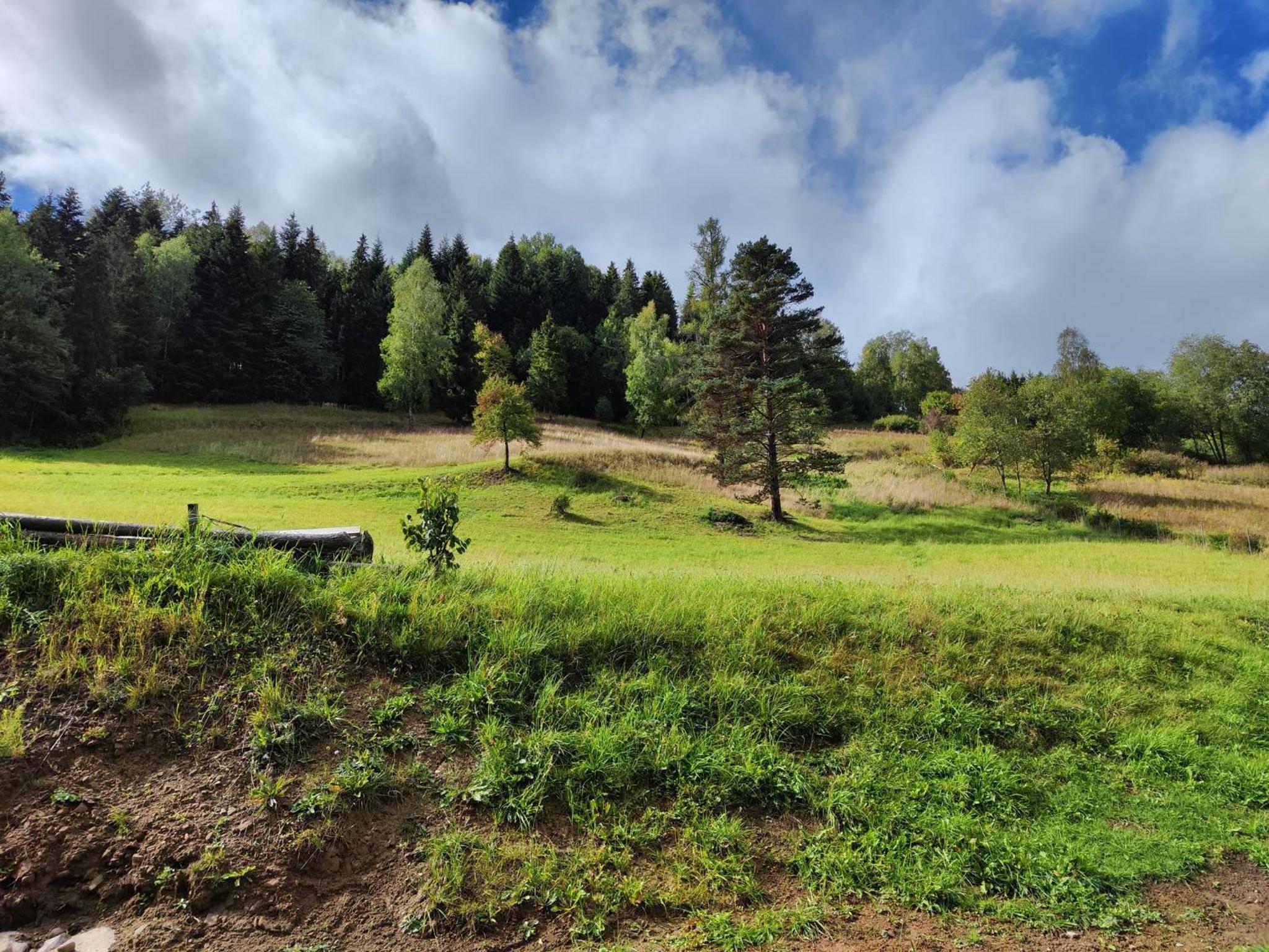 Leśny Zaułek view 5