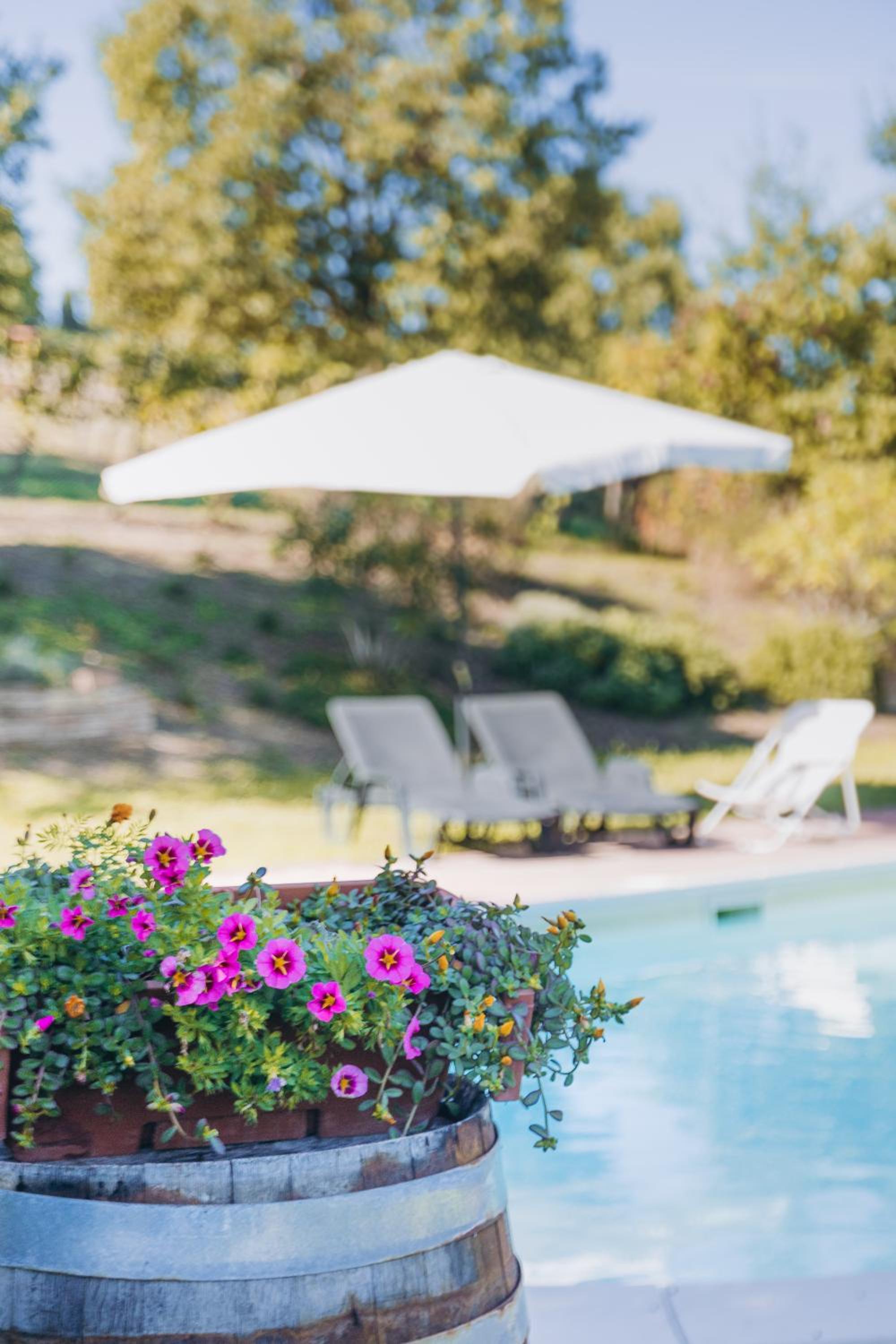 Agriturismo Montevecchio Isolani