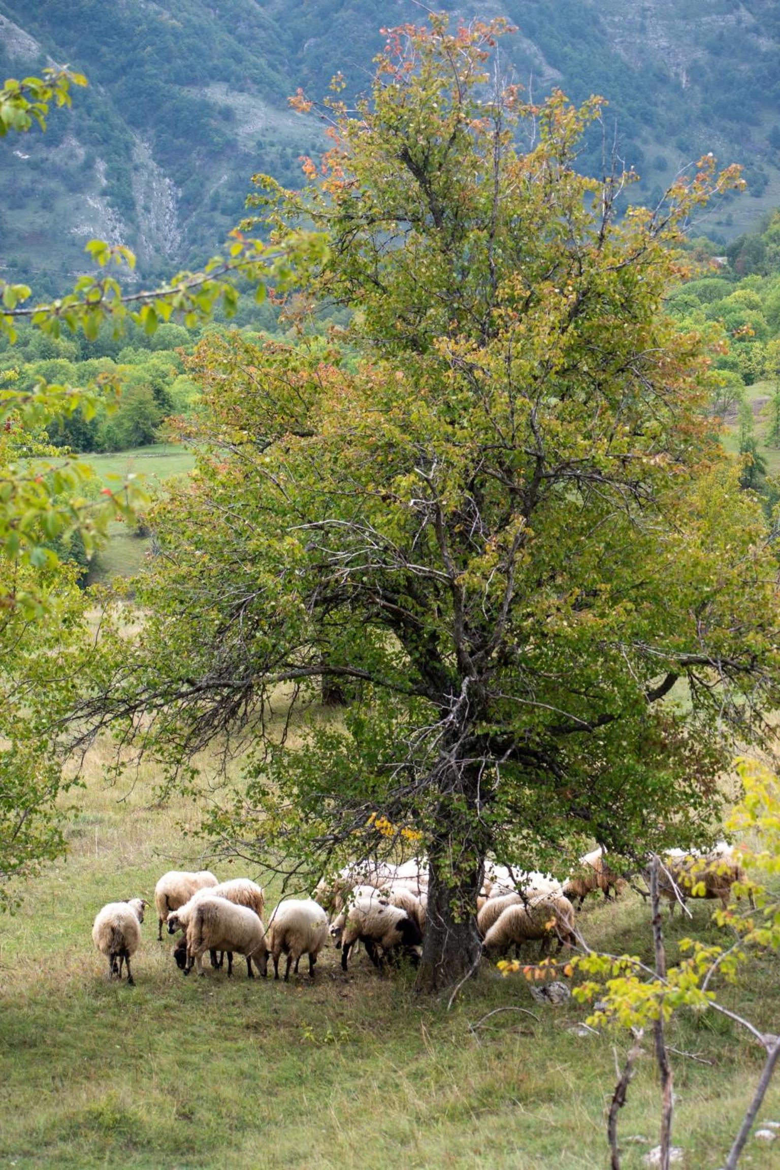 Etno Village Vojnik view 2