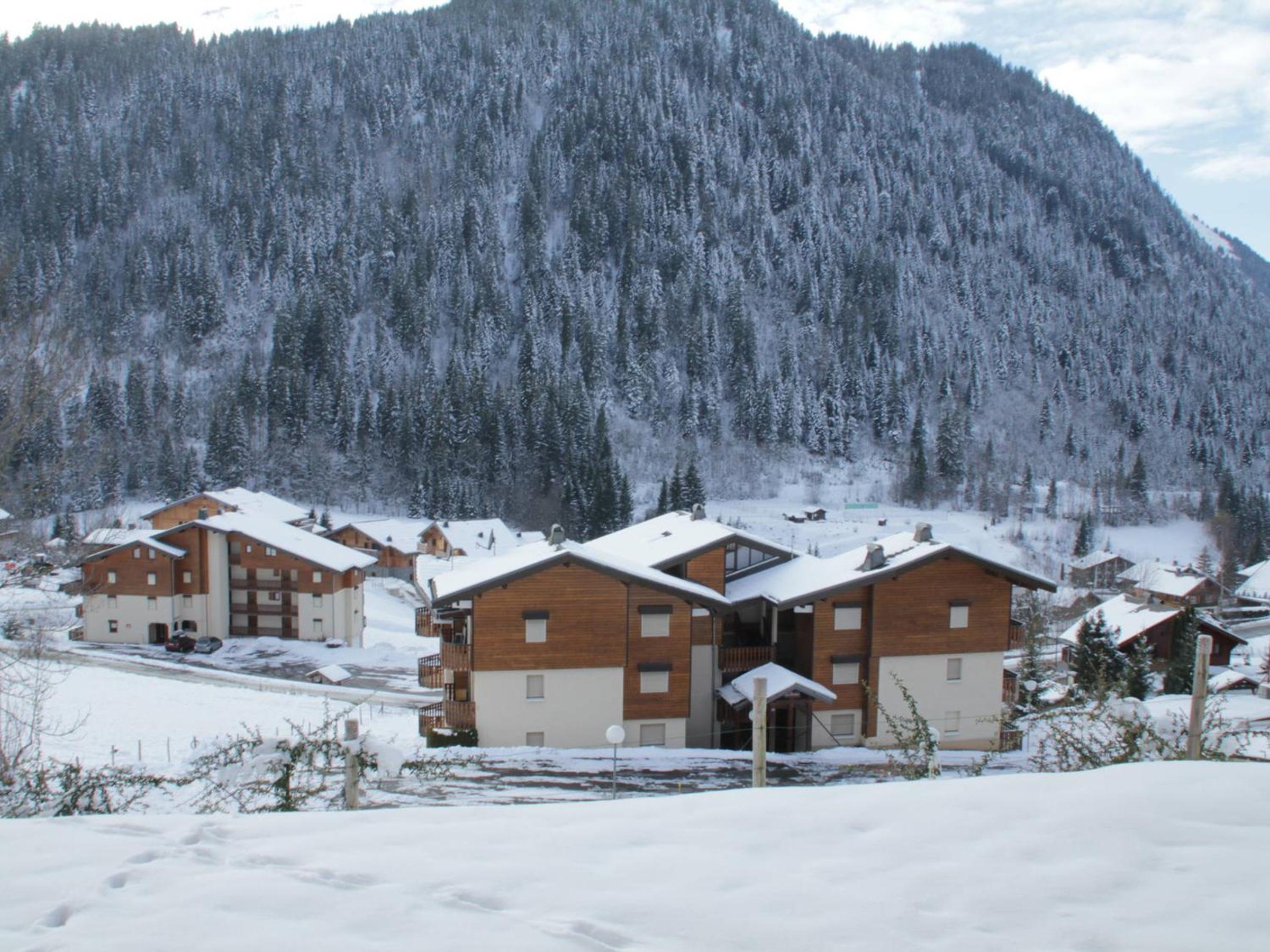 Studio Châtel, 1 pièce, 4 personnes - FR-1-200-172 photo 5