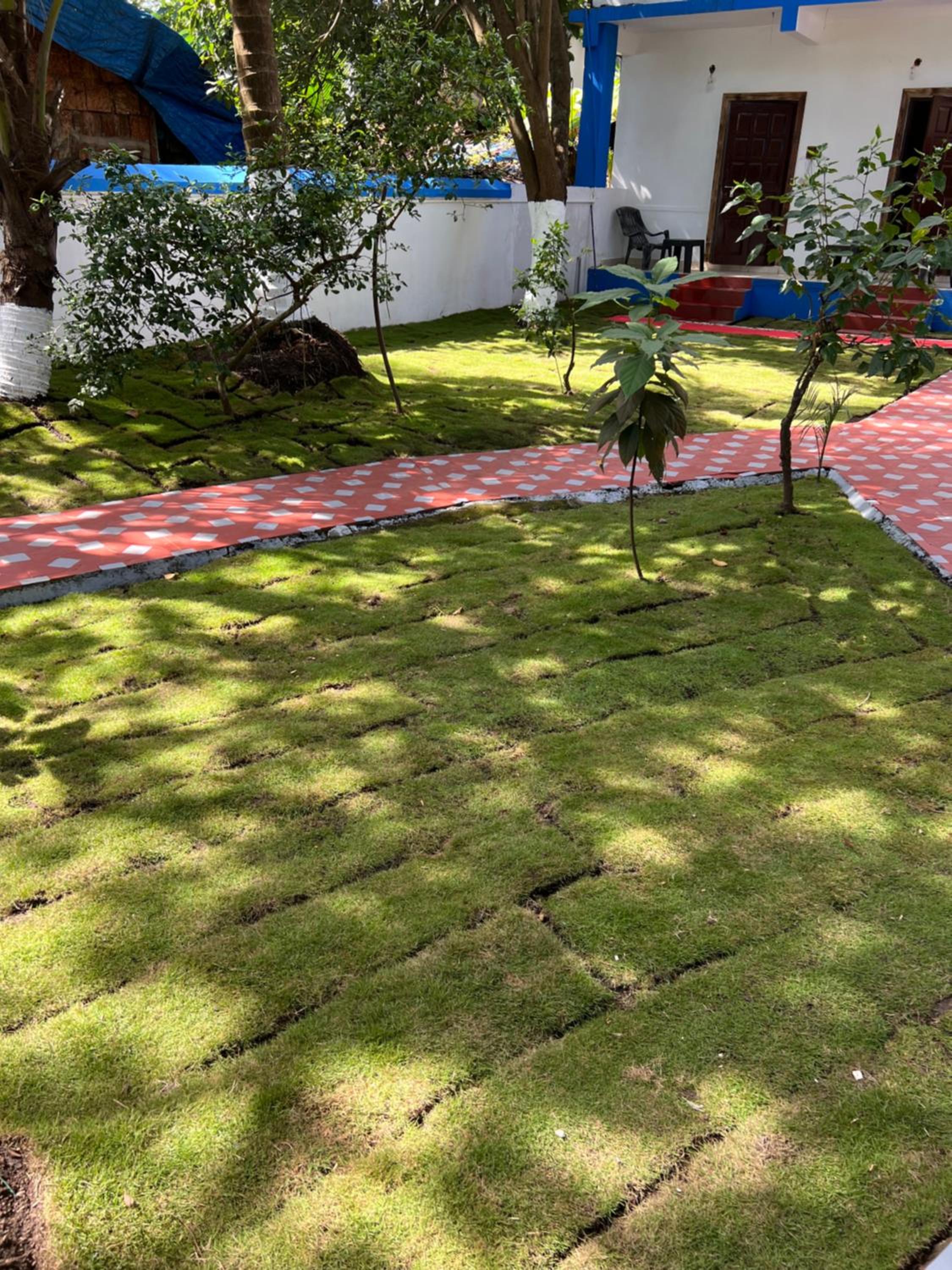 Photo 15