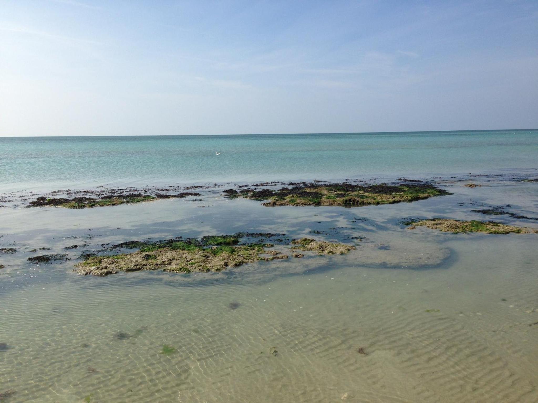 Photo 20
