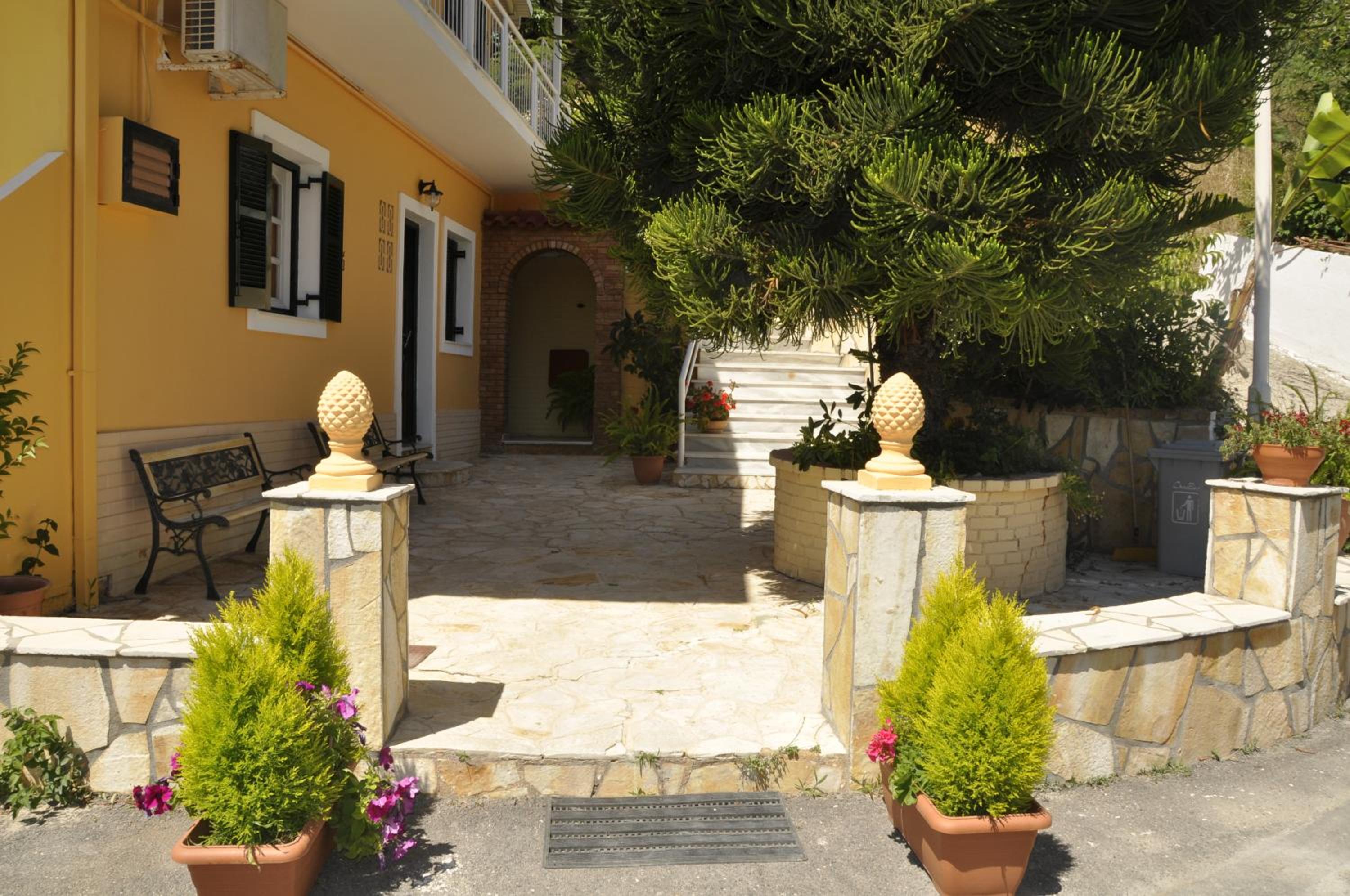 Photo 9