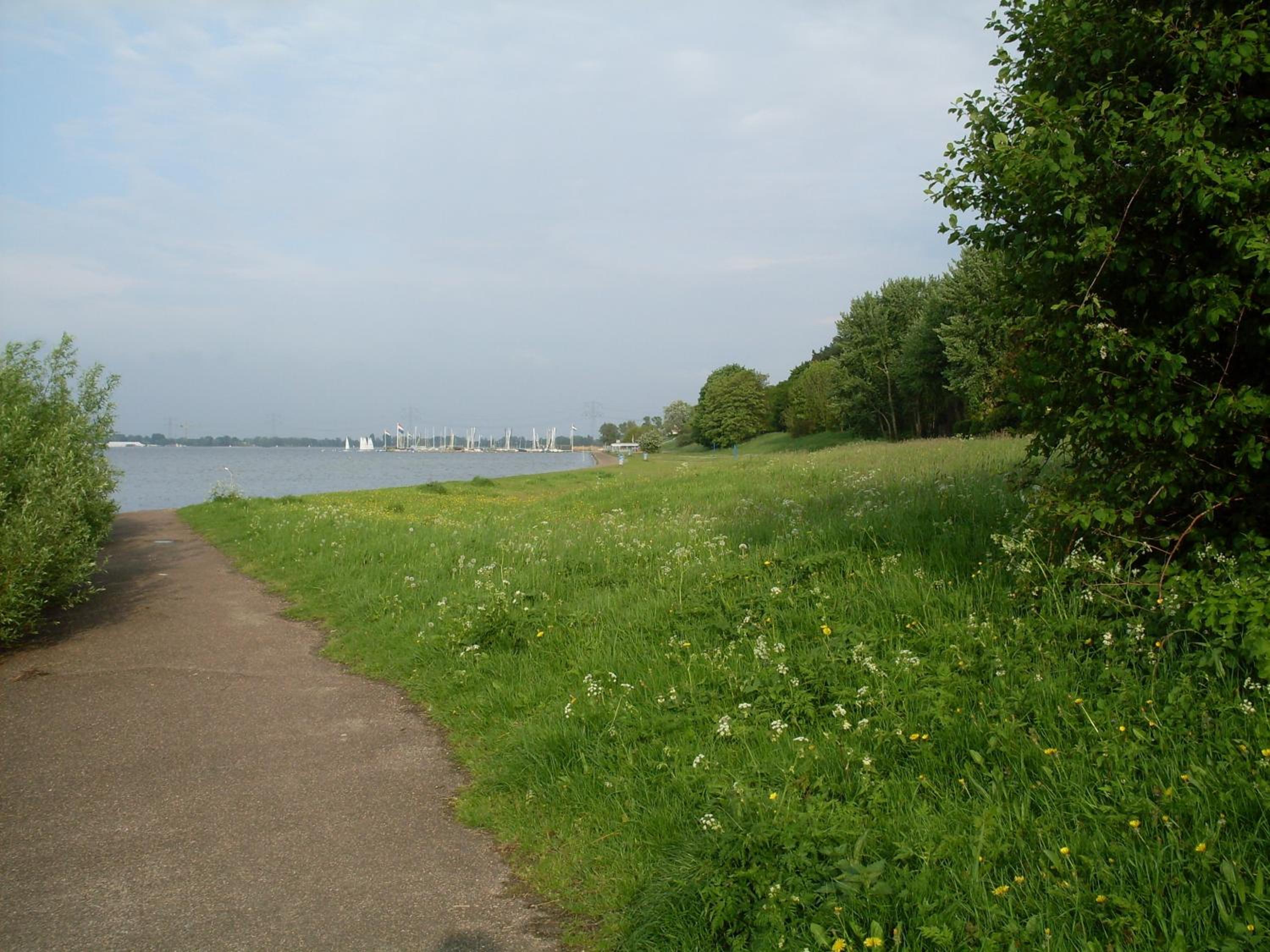 Photo 19