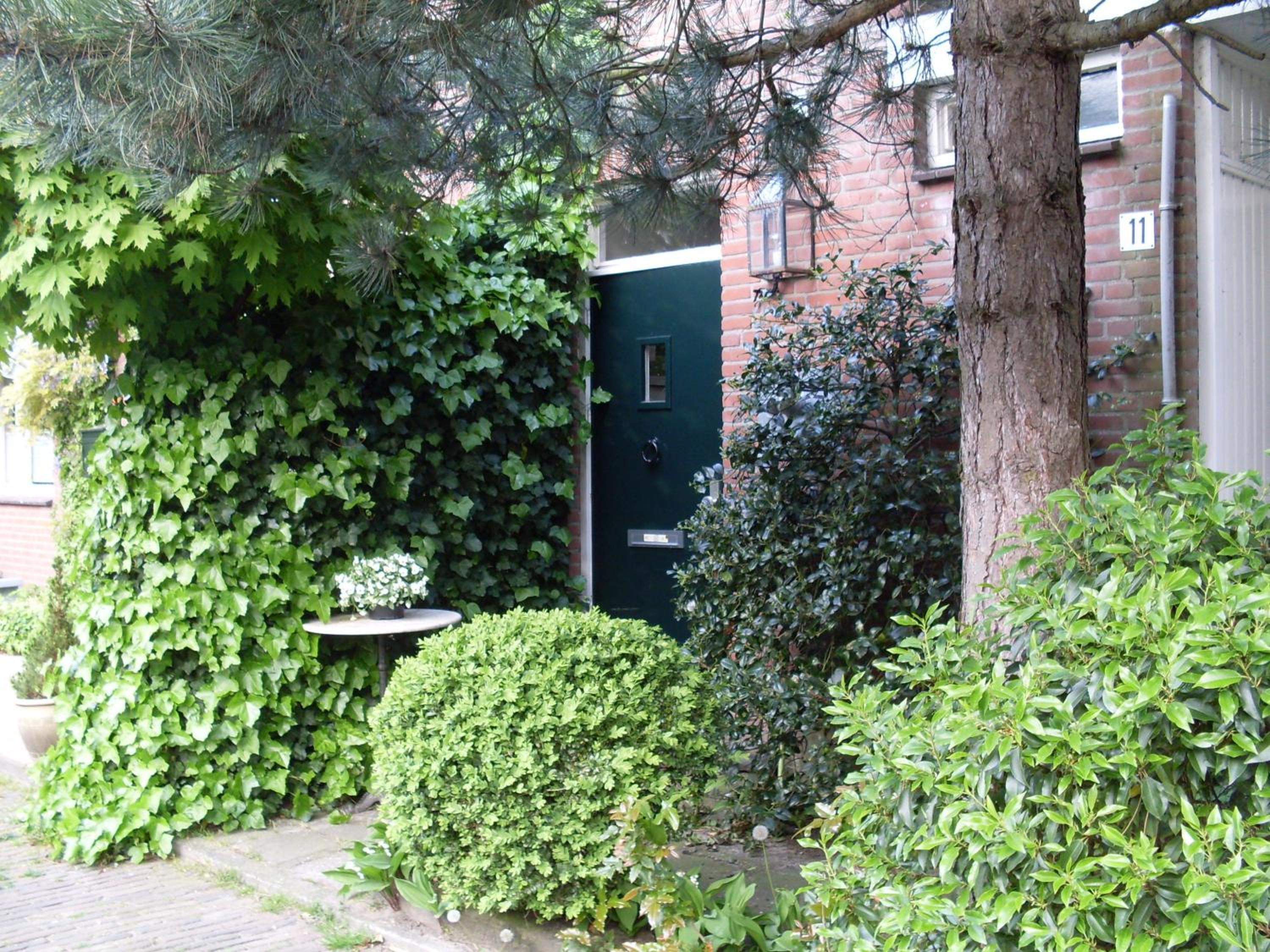 Photo 21