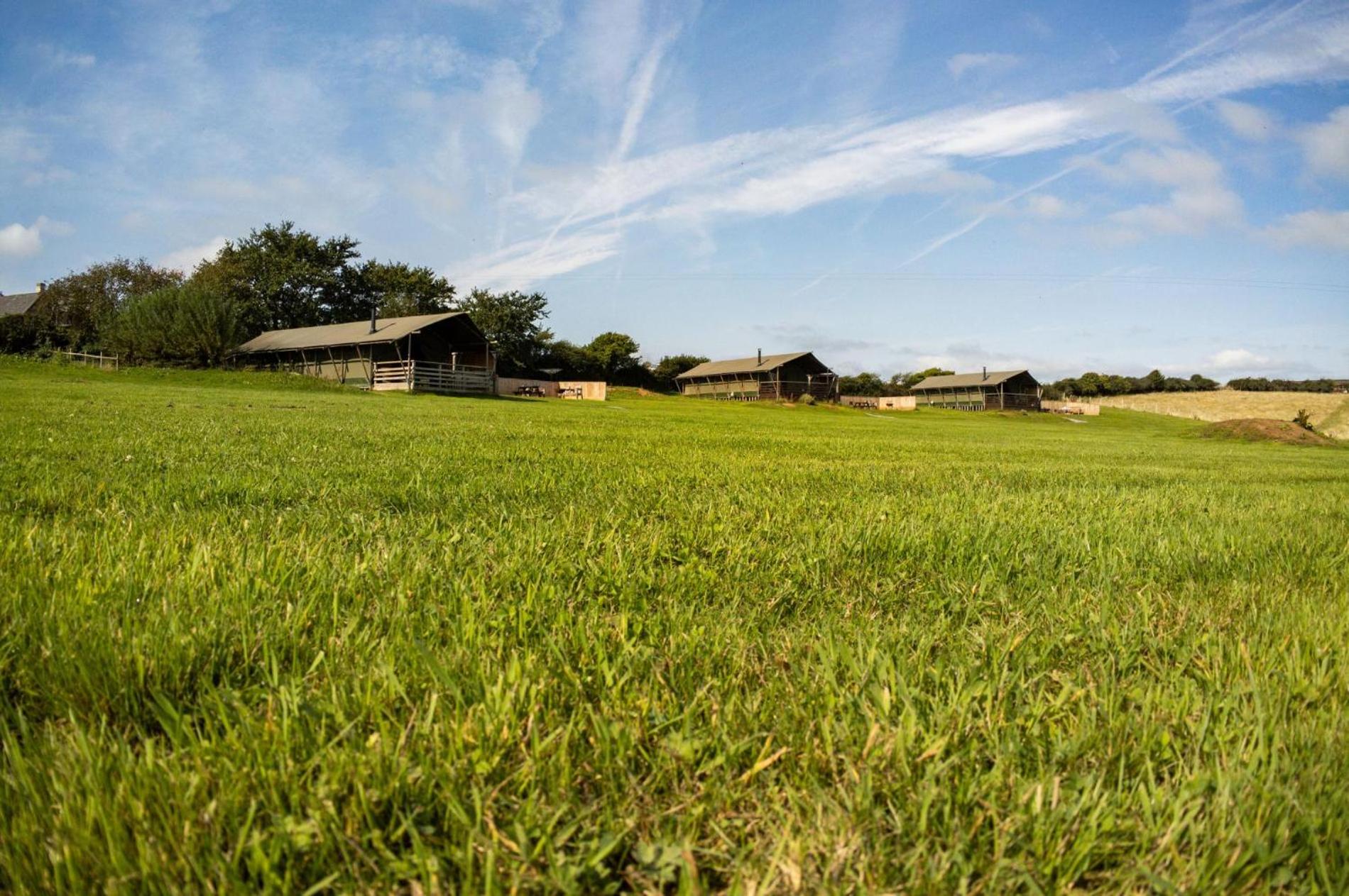 Three Cliffs - Safari Glamping Tent - Llangennith view 4