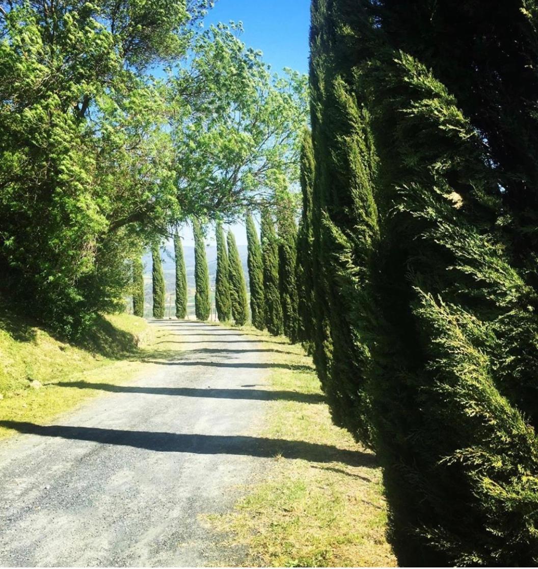Borgo di Monte Murlo
