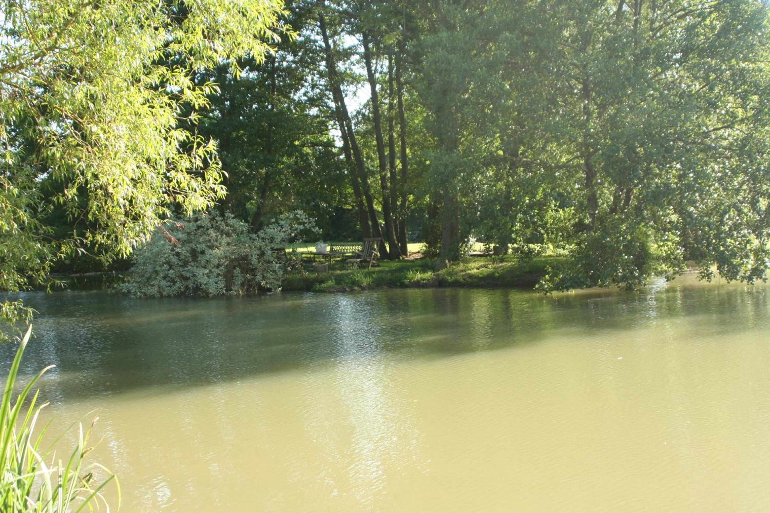 Photo 31