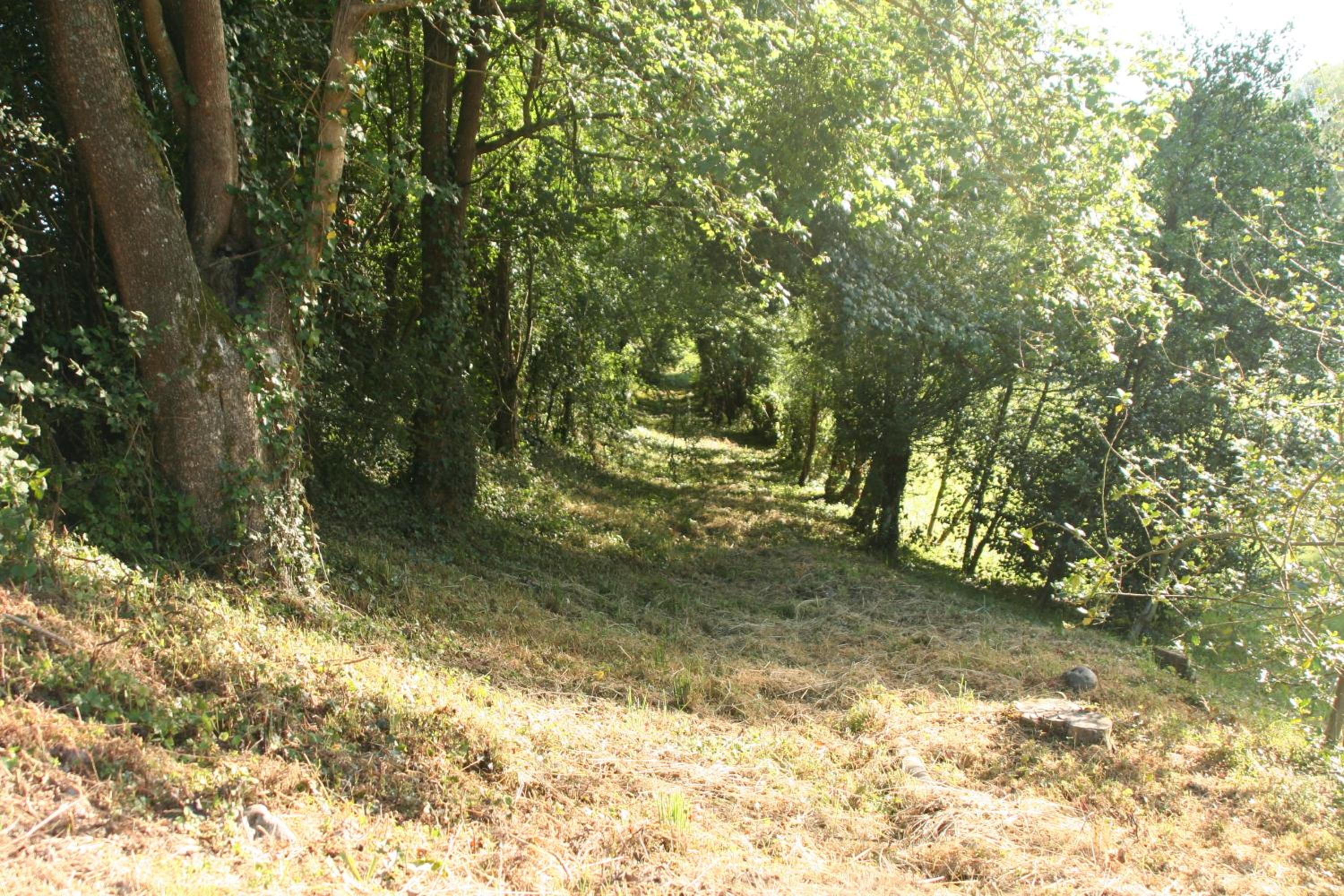 Photo 20