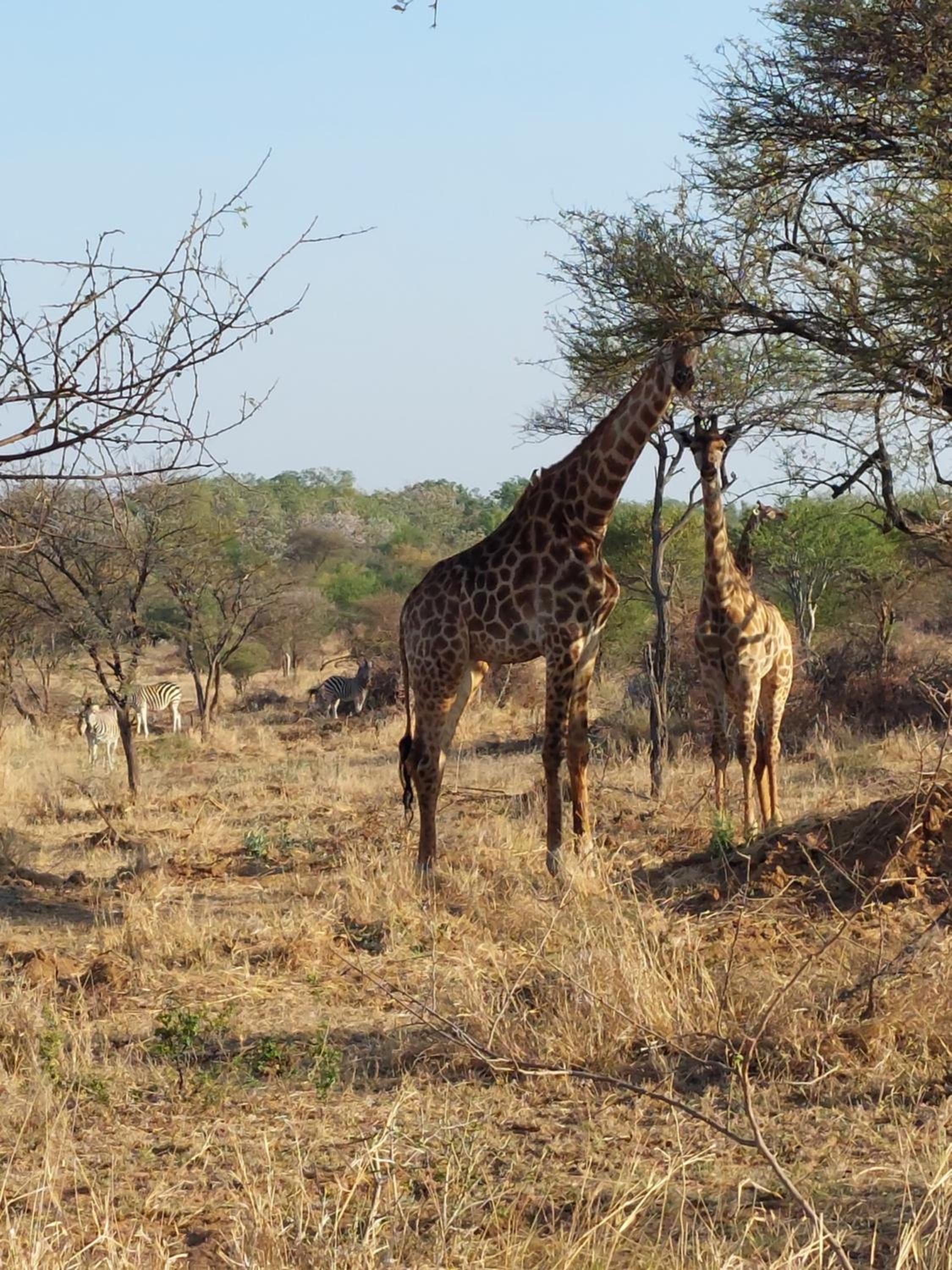 Karibu River Retreat