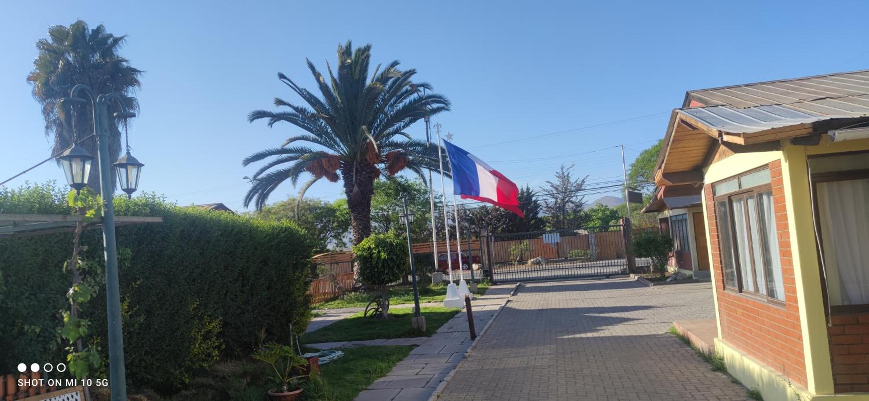 Photo 19