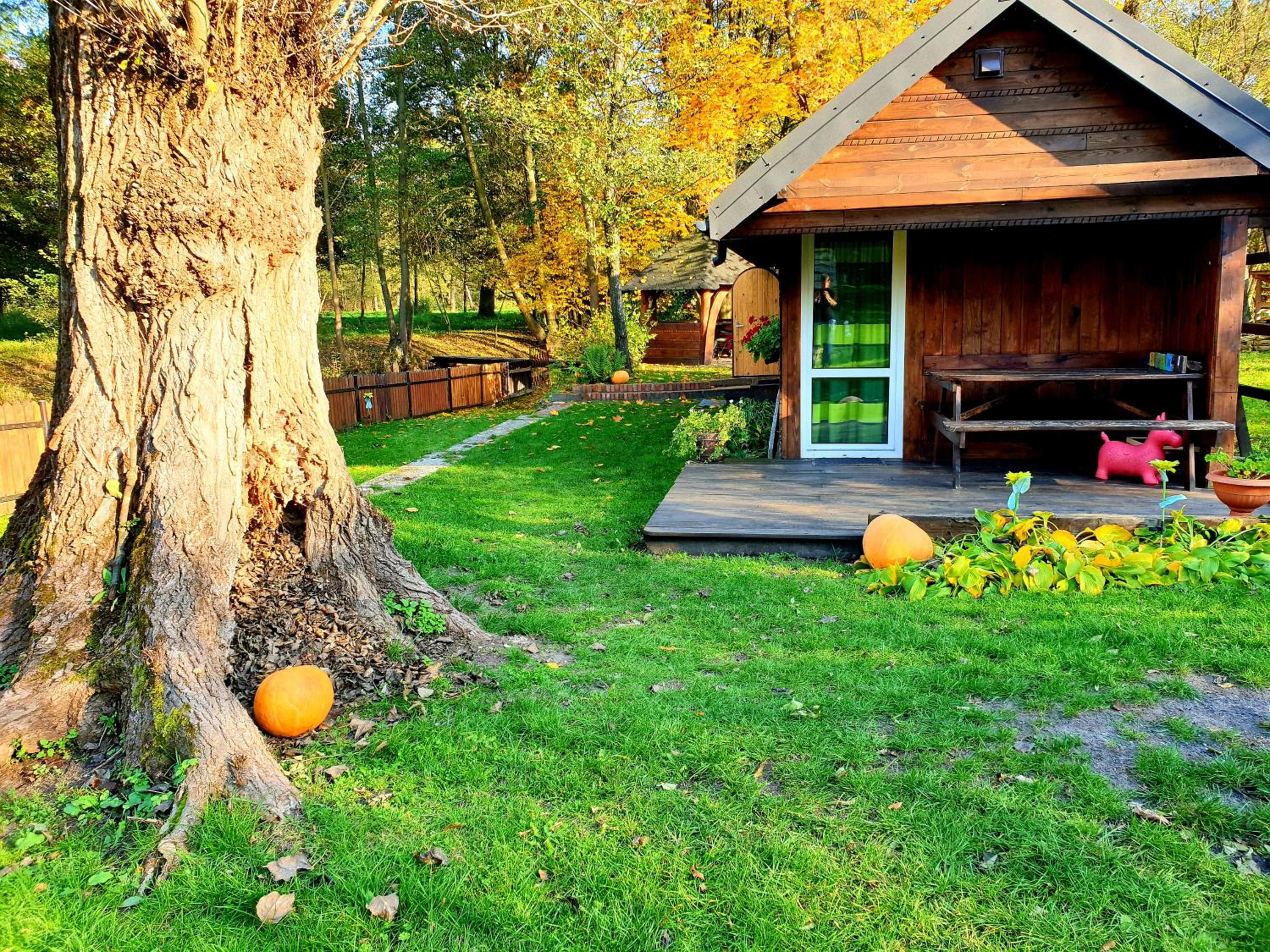 Jurajska Sielanka - domek nad rzeczką