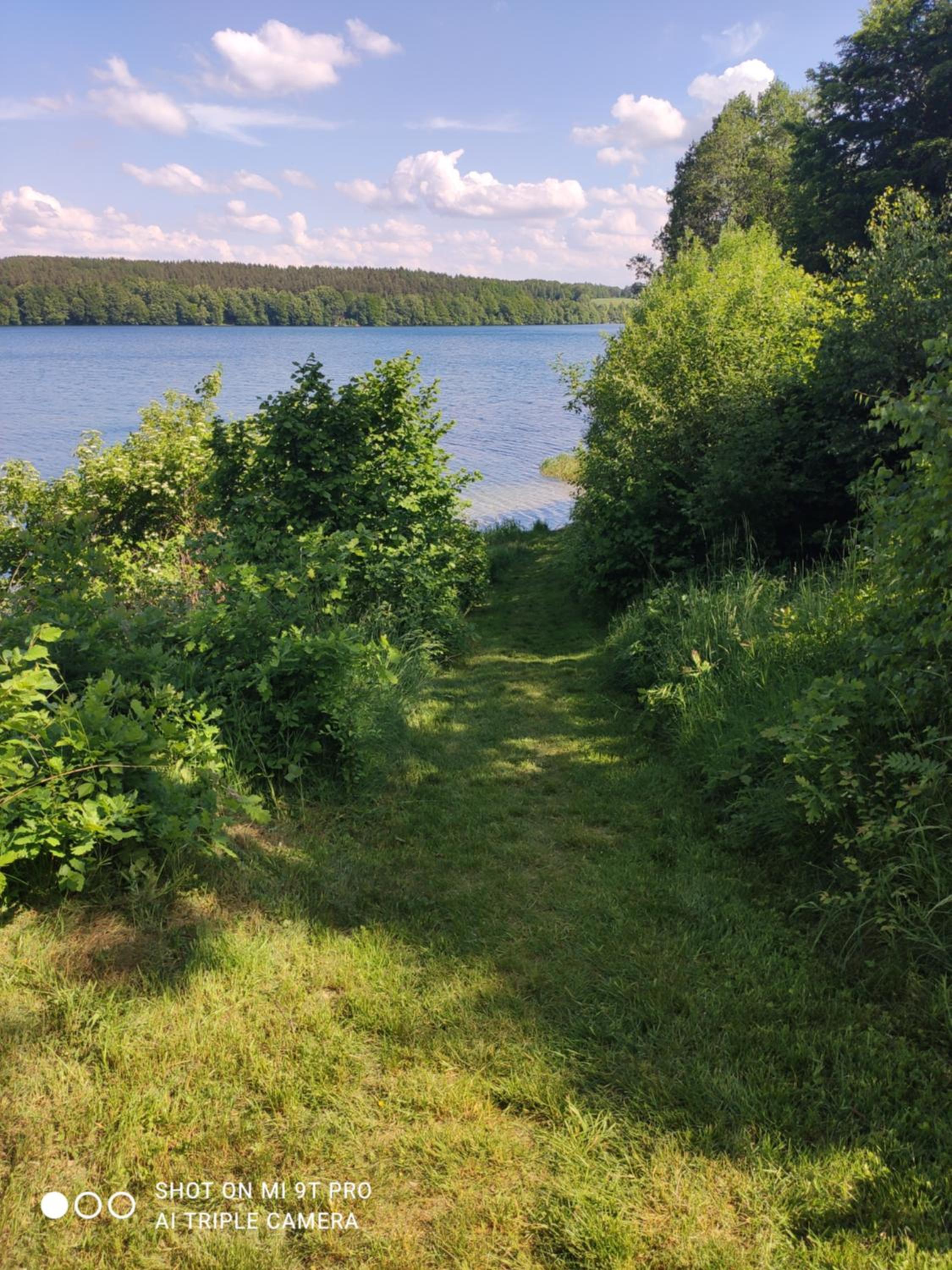 Photo 31