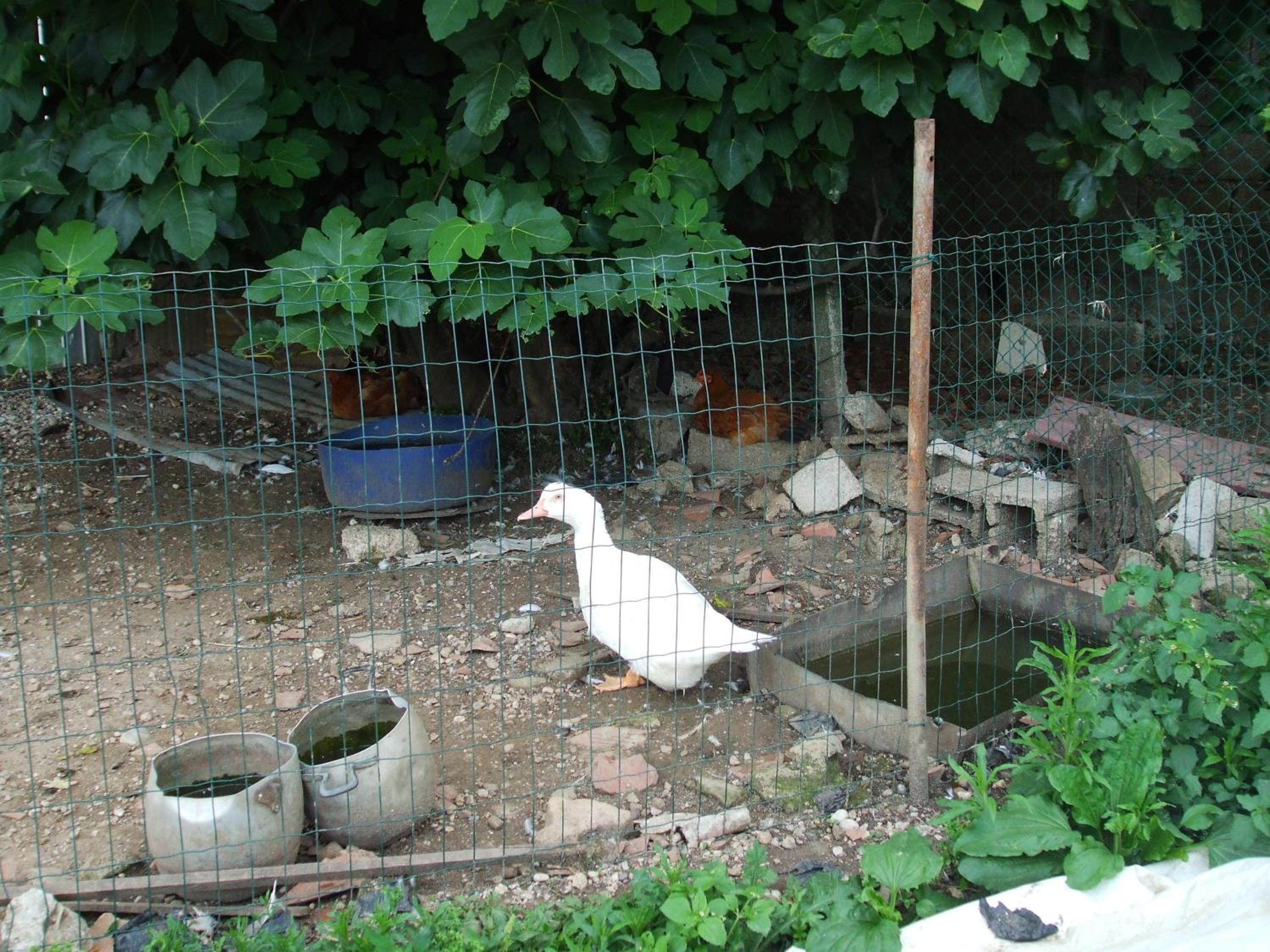 Photo 32