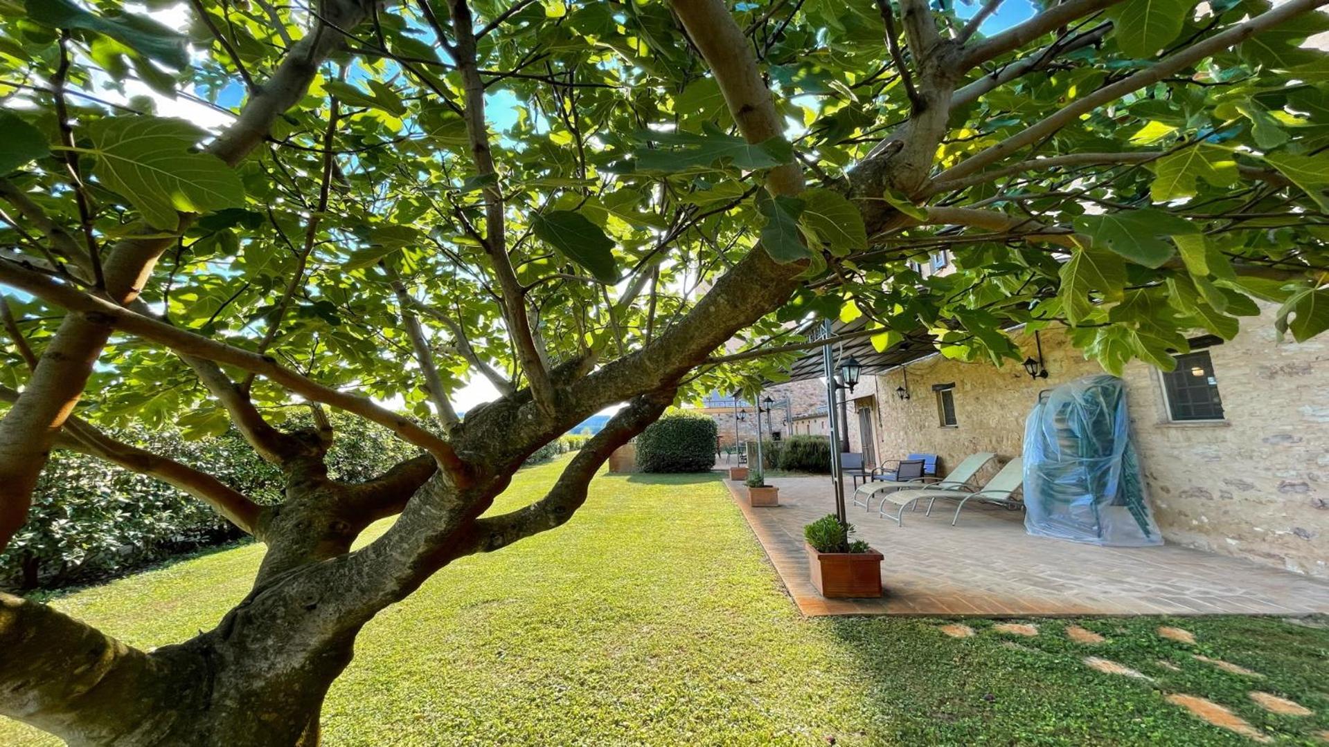 Spello By The Pool - Sleeps 11 with large private pool, meditation park - exc view 2