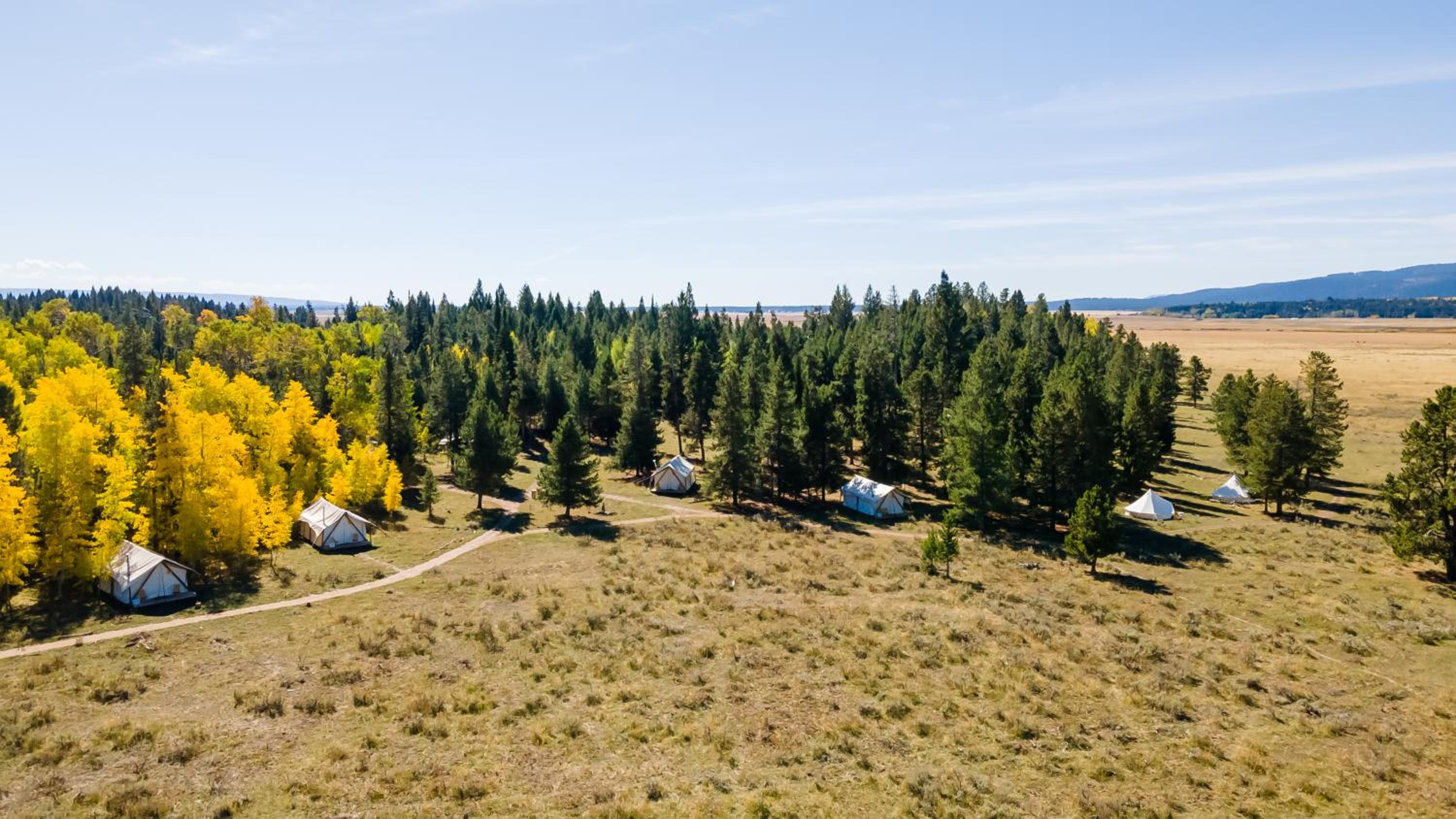 Tammah - Yellowstone