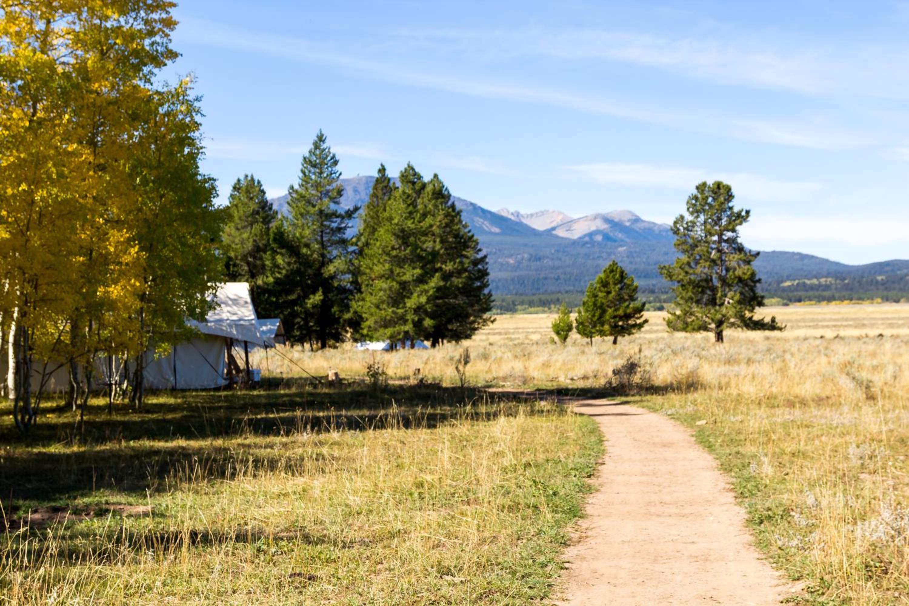 Tammah - Yellowstone